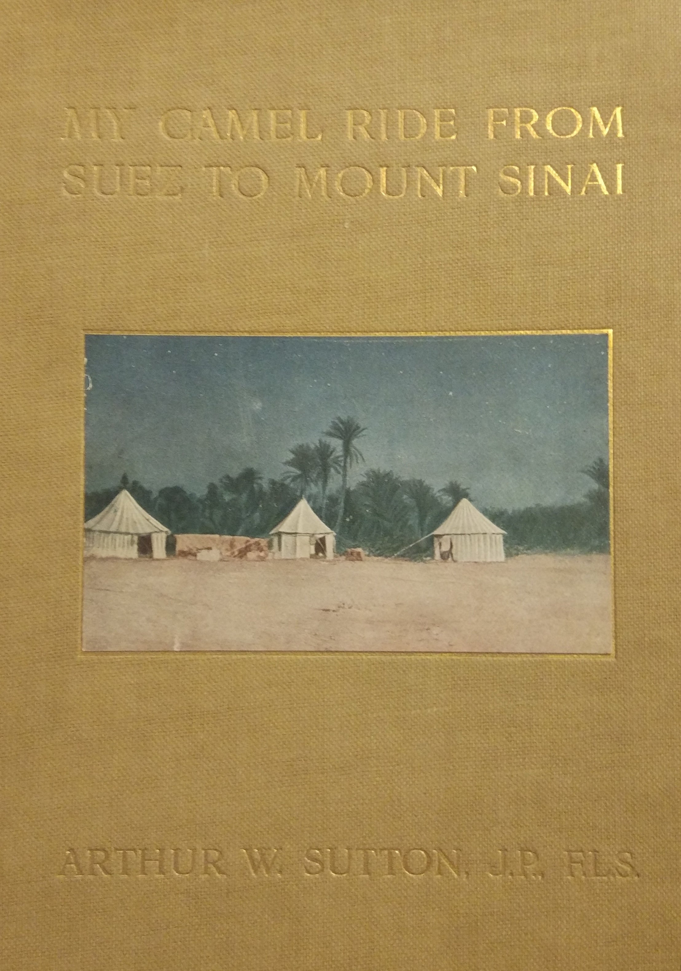 My Camel Ride from Suez to Mount Sinai