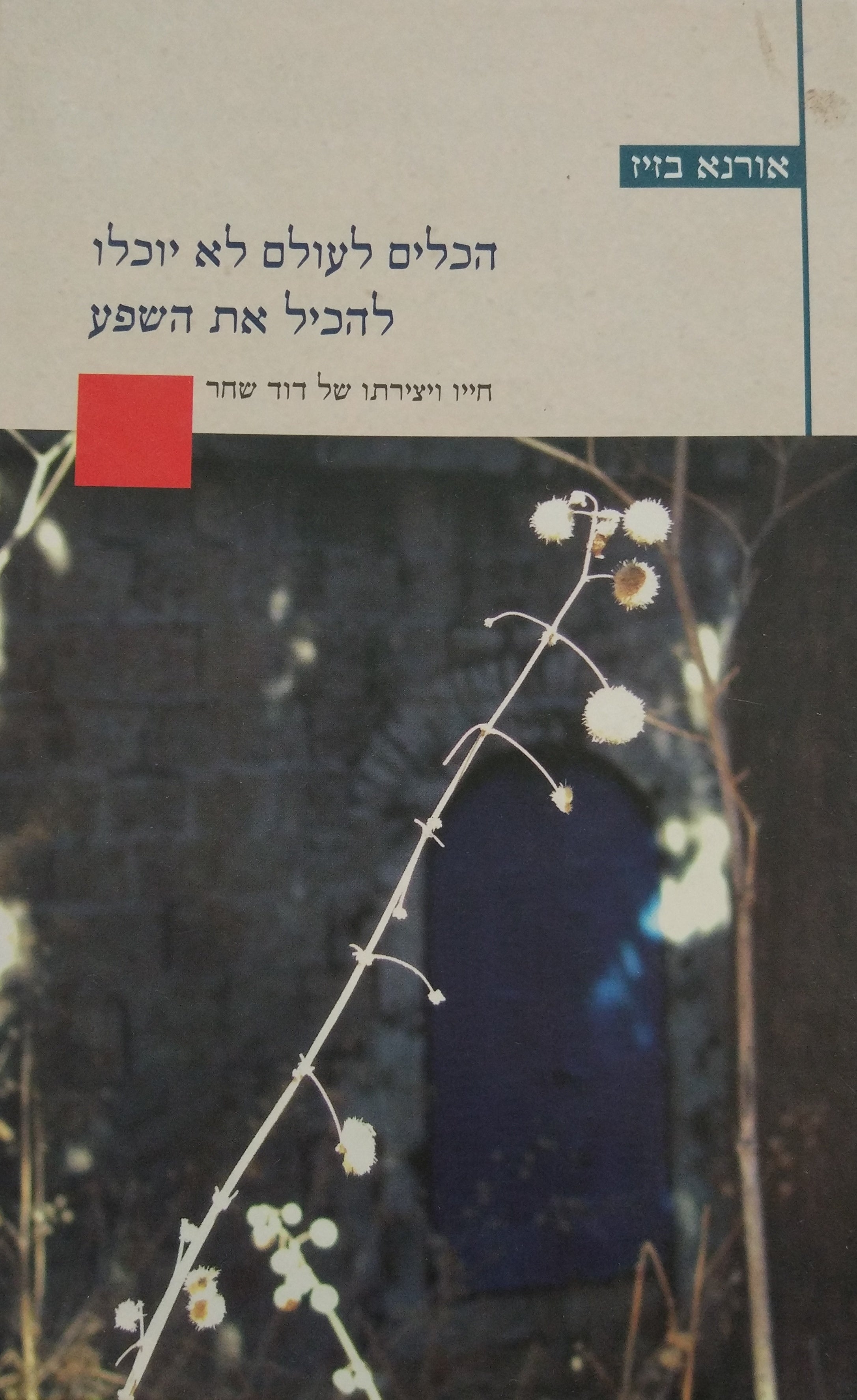 הכלים לעולם לא יוכלו להכיל את השפע / חייו ויצירתו של דוד שחר