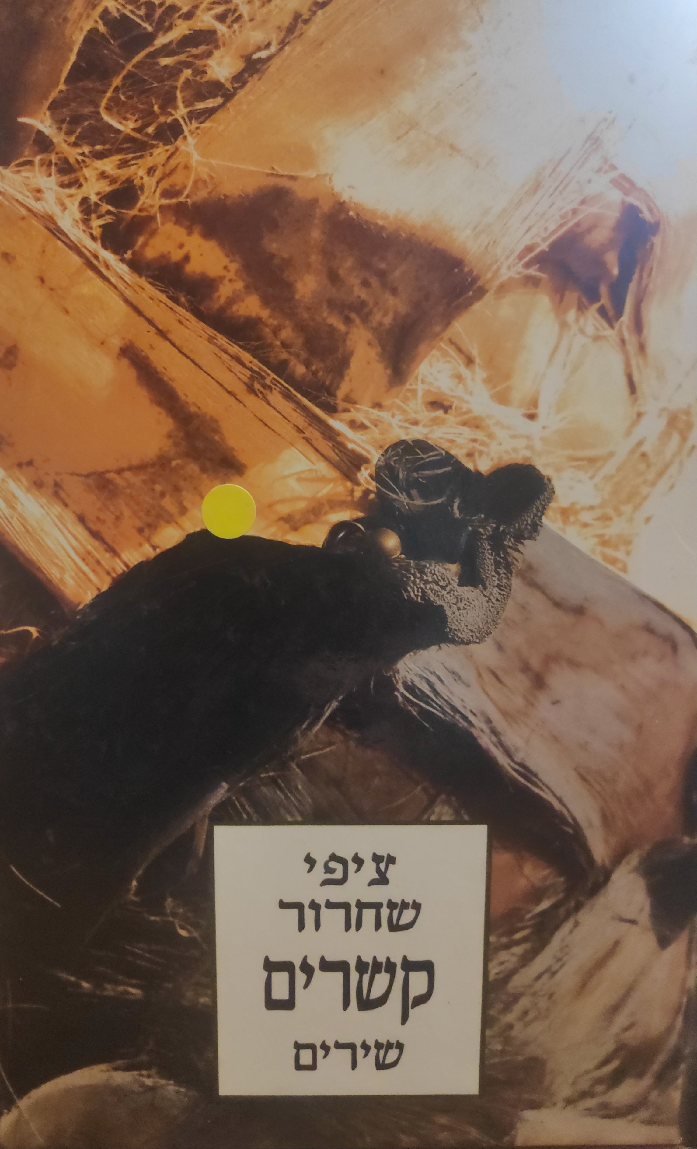 קשרים / שירים