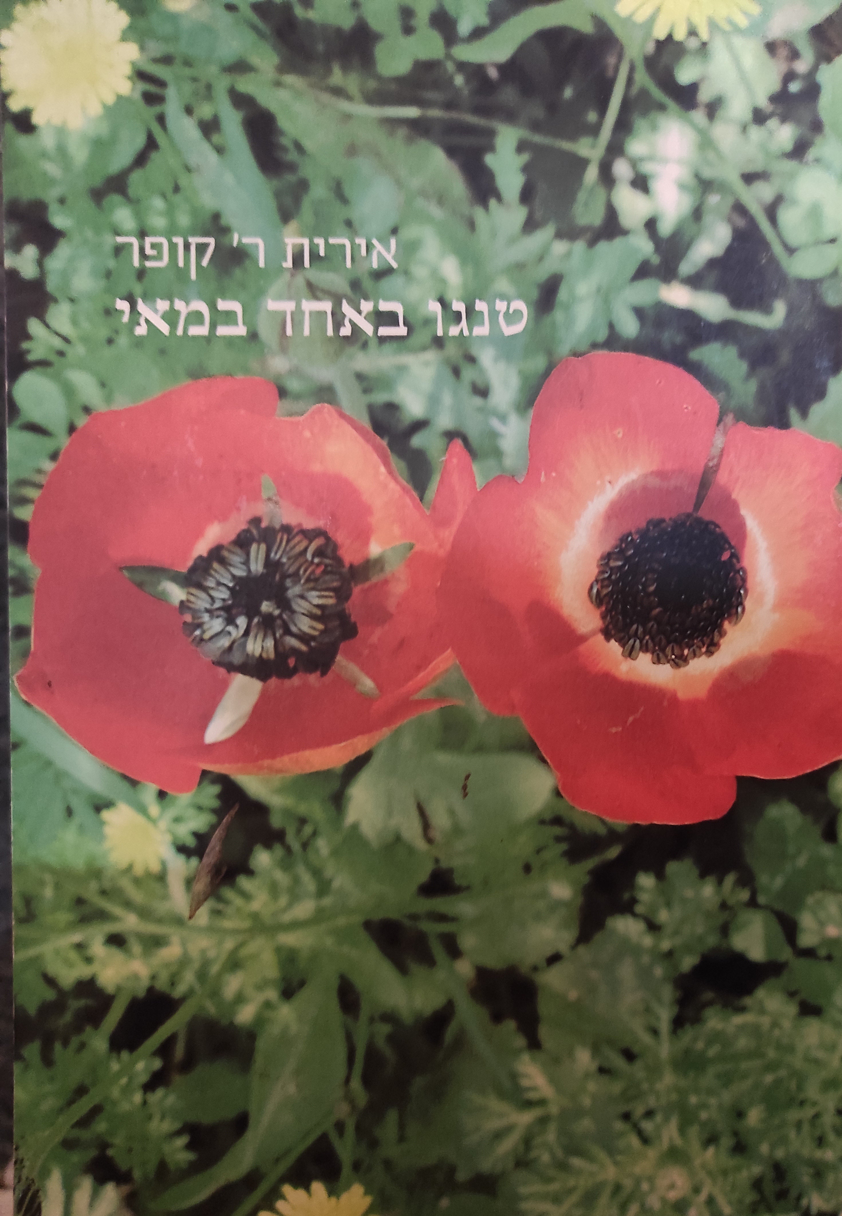טנגו באחד במאי