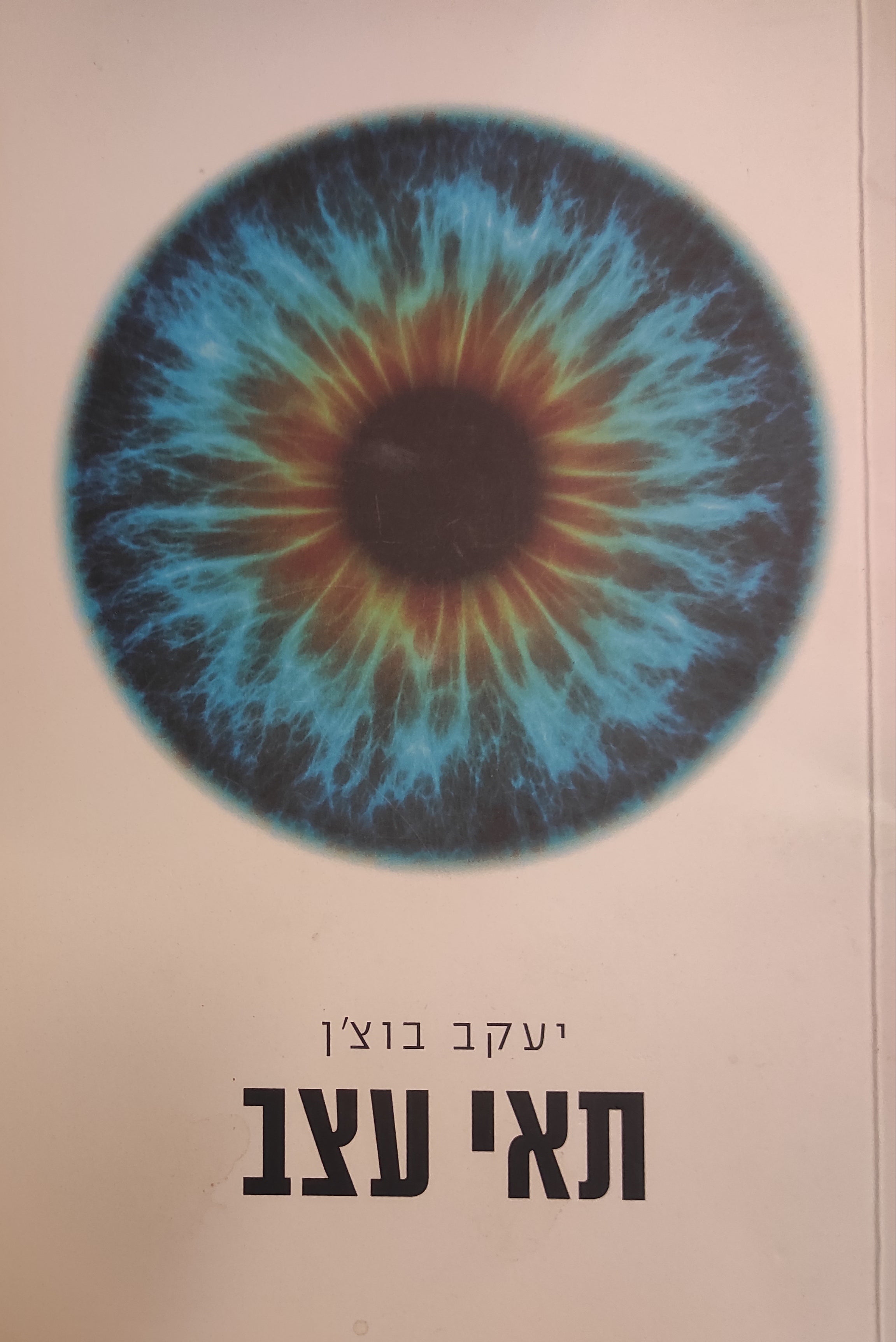 תאי עצב