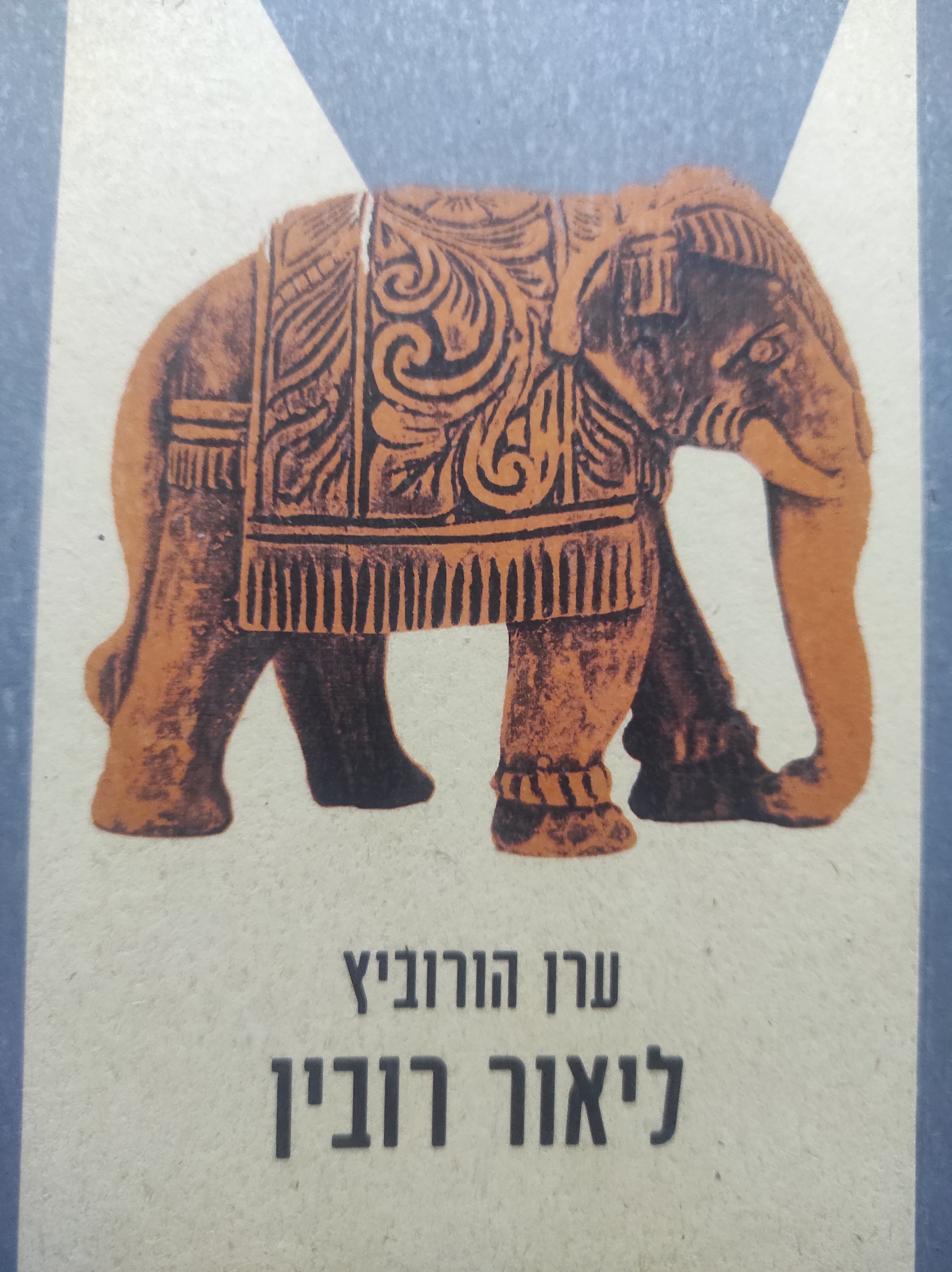 ליאור רובין