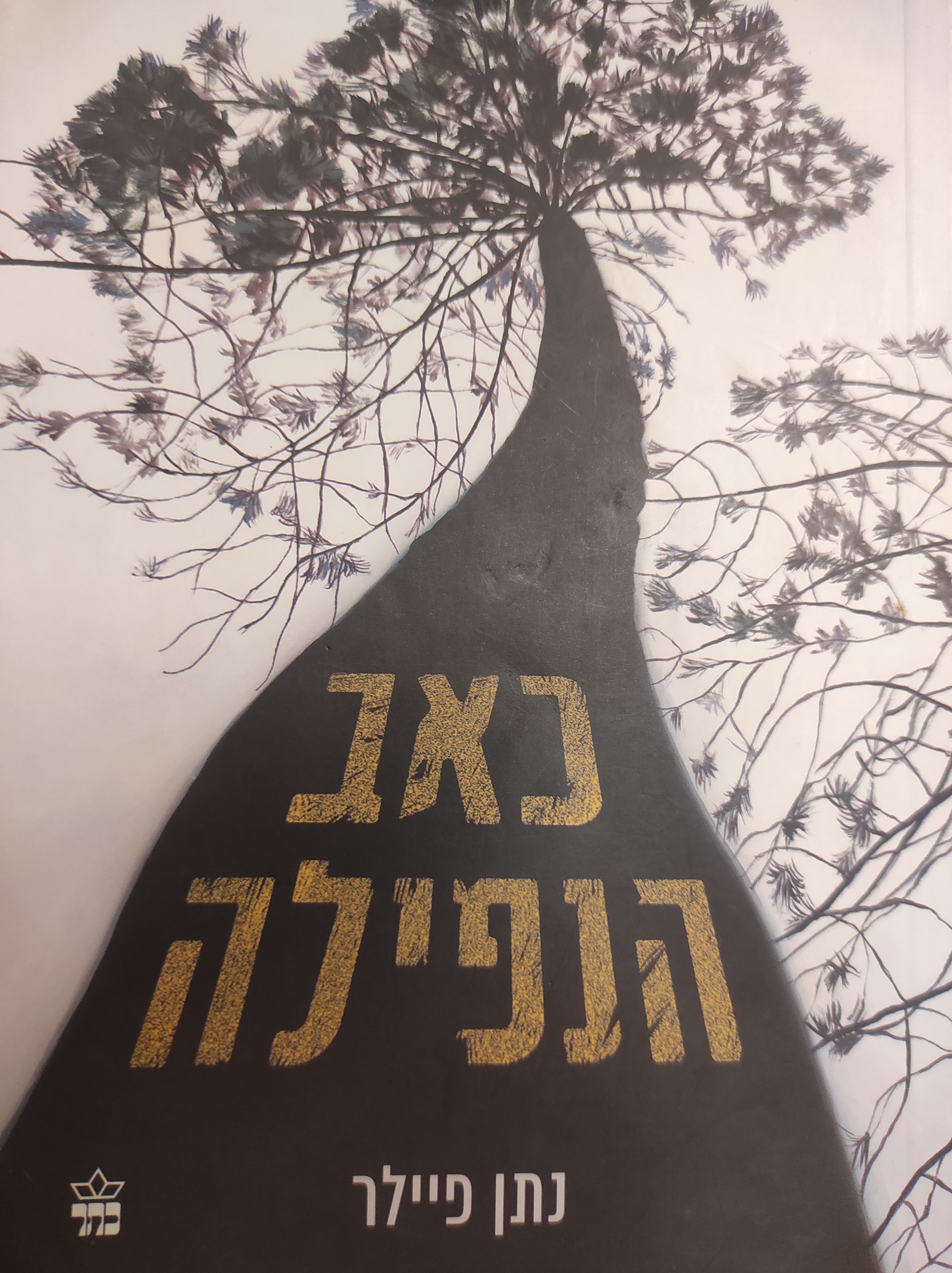 כאב הנפילה