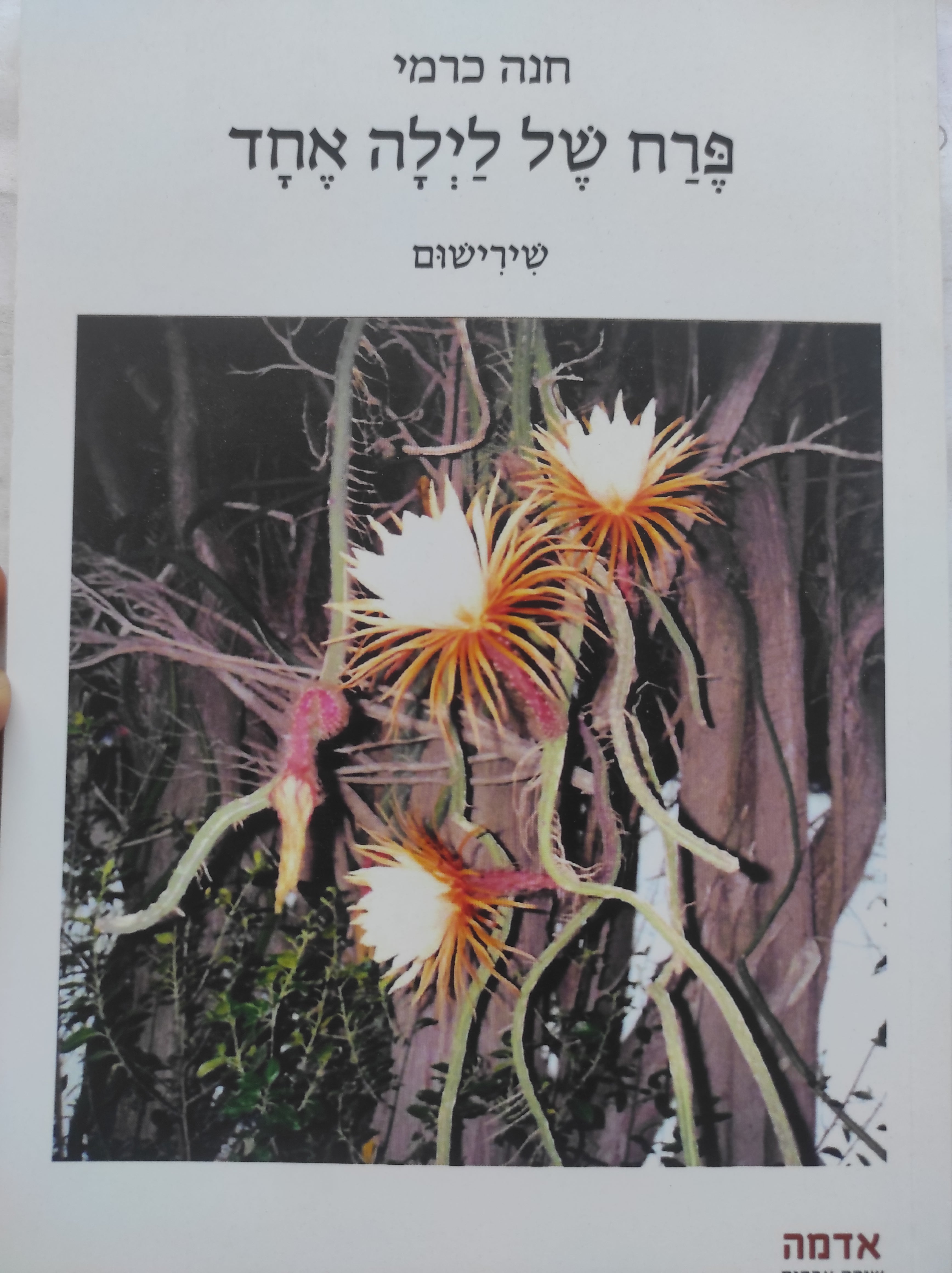 פרח של לילה אחד / שירישום