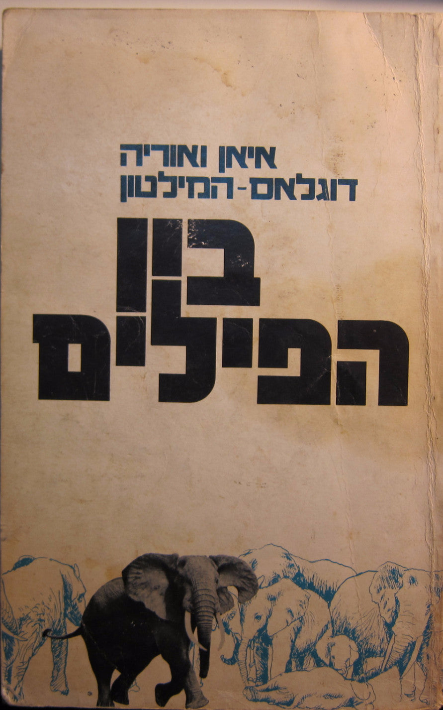 בין הפילים