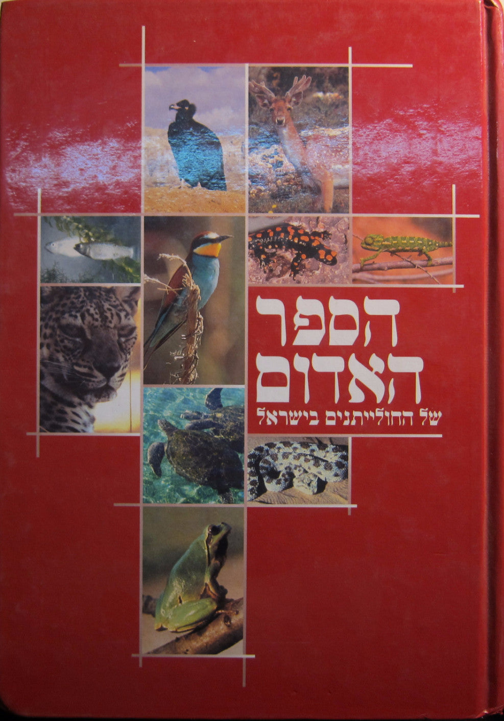 הספר האדום של החולייתנים בישראל