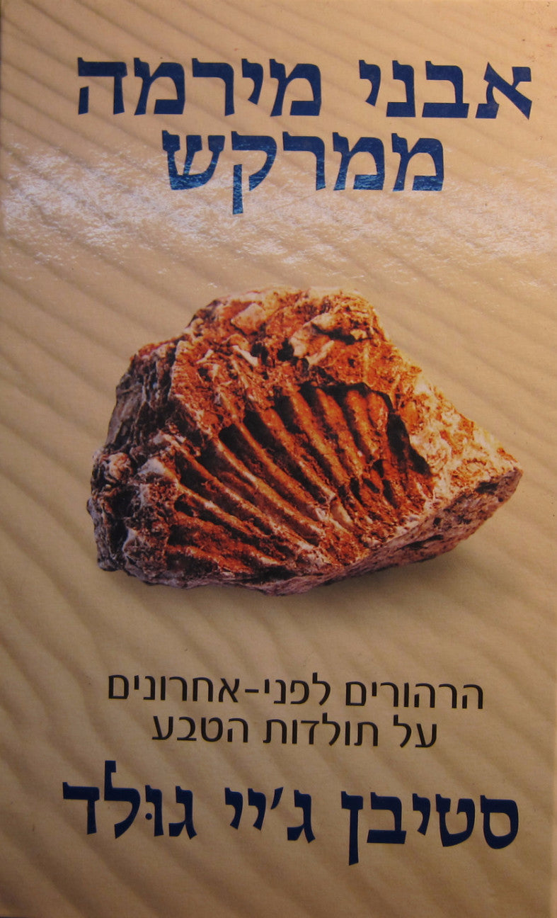 אבני מירמה ממרקש
