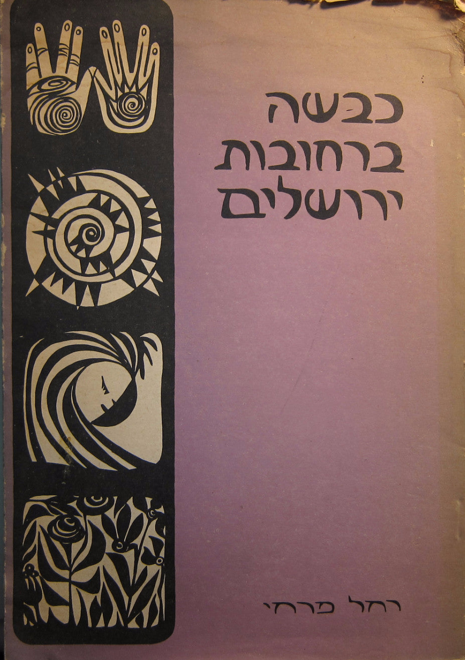 כבשה ברחובות ירושלים