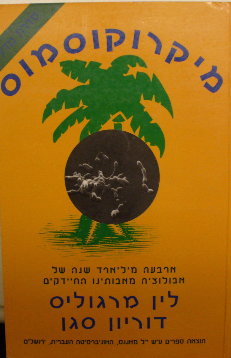 מיקרוקוסמוס