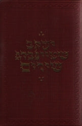 חמישים שירים / הקדשה של יוסל ברגנר