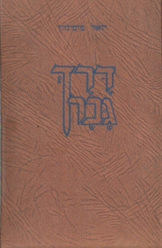 דרך גבר: רומן