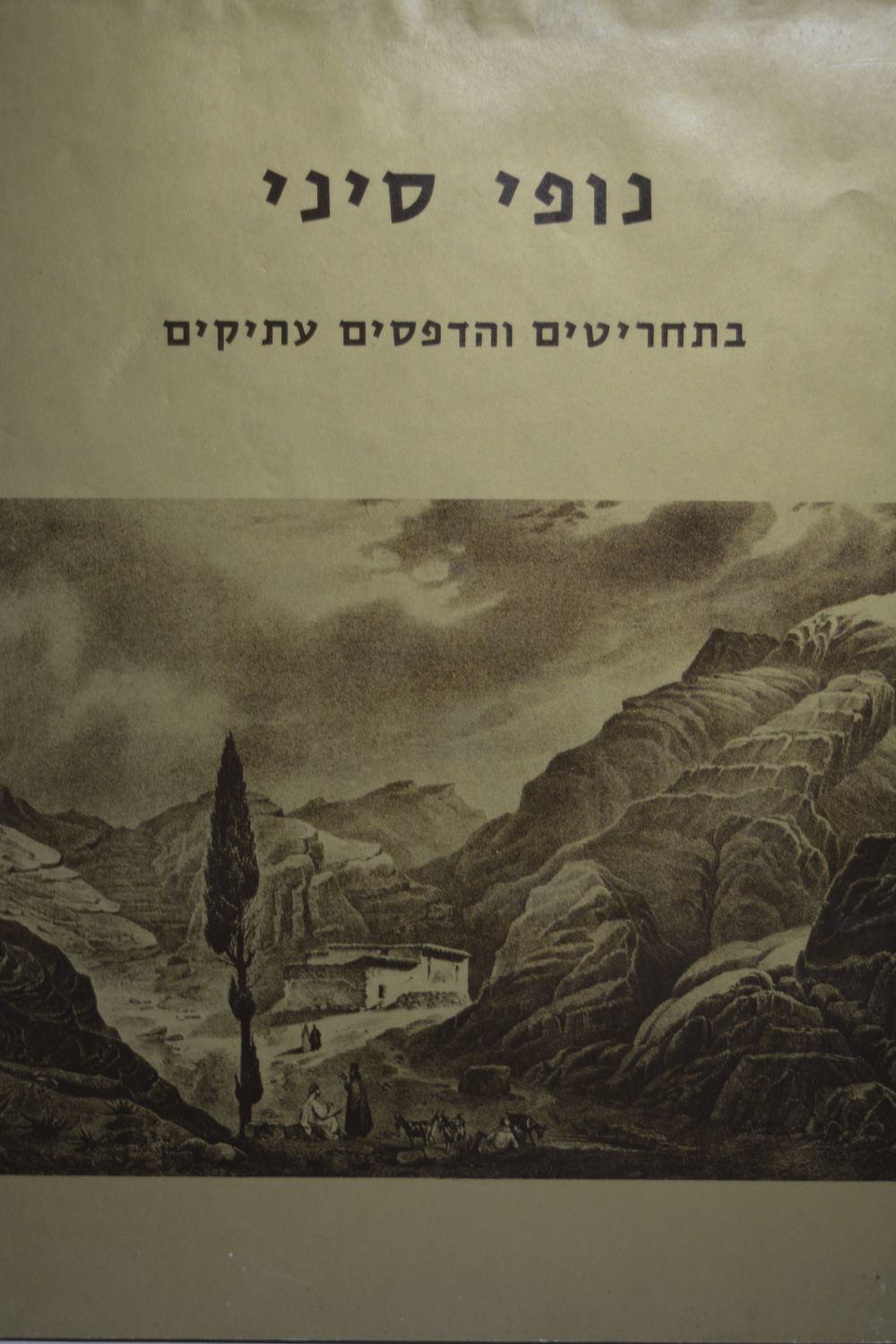 נופי סיני / בתחריטים והדפסים עתיקים