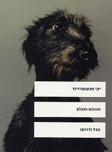 הכובש והכלב