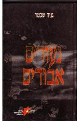 נעורים אבודים