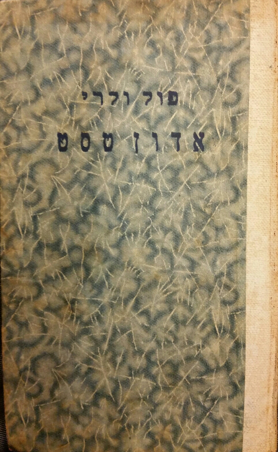 אדון טסט / תרגום ישראל זמורה
