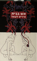 אש בבית