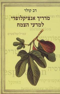 מדריך אנציקלופדי למדעי הצמח/ תופעות, תהליכים, מונחים, מושגים