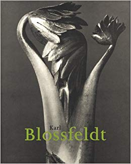 KARL BLOSSFELDT/ 1865-1932