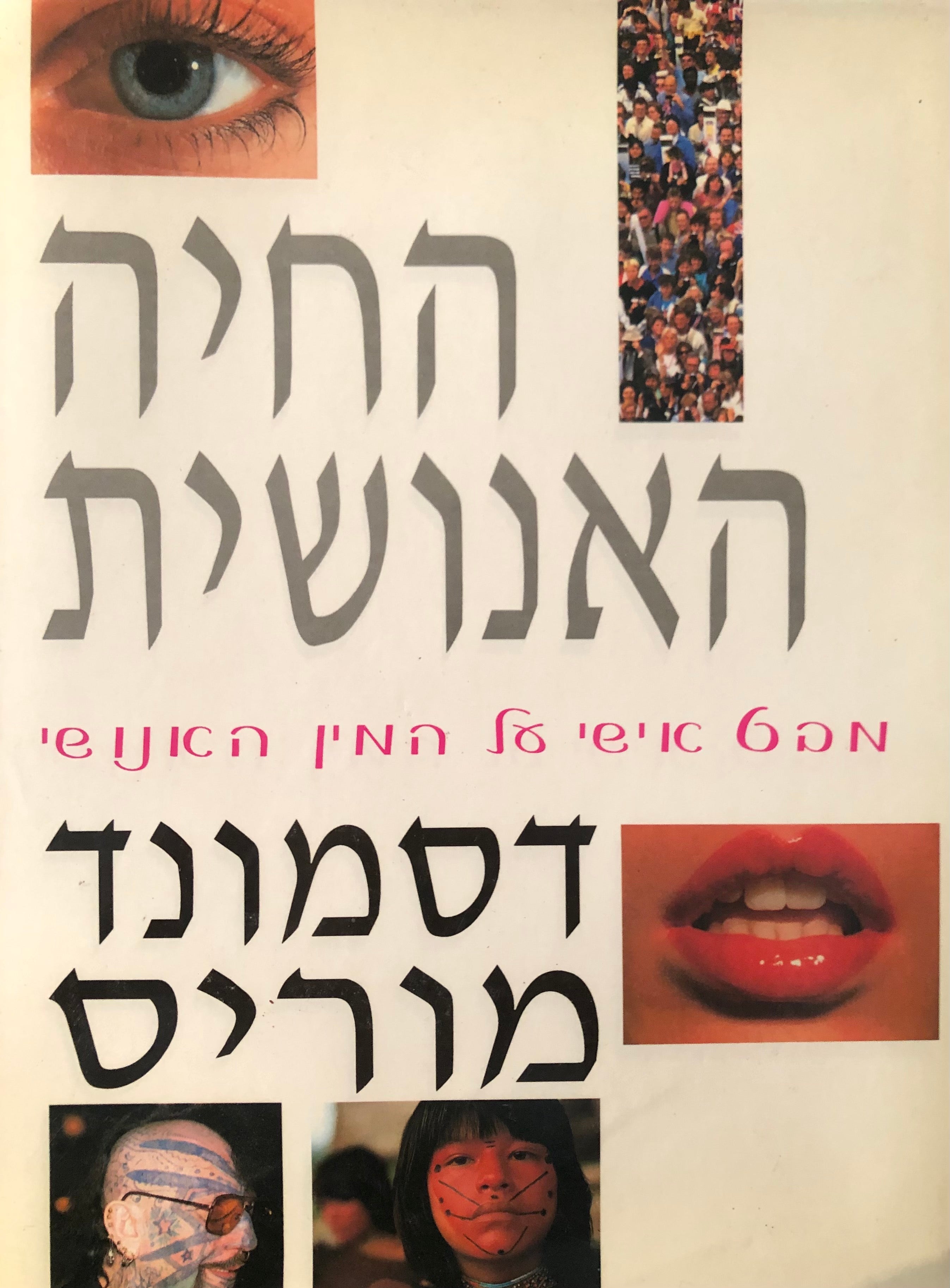 החיה האנושית / מבט אישי על המין האנושי
