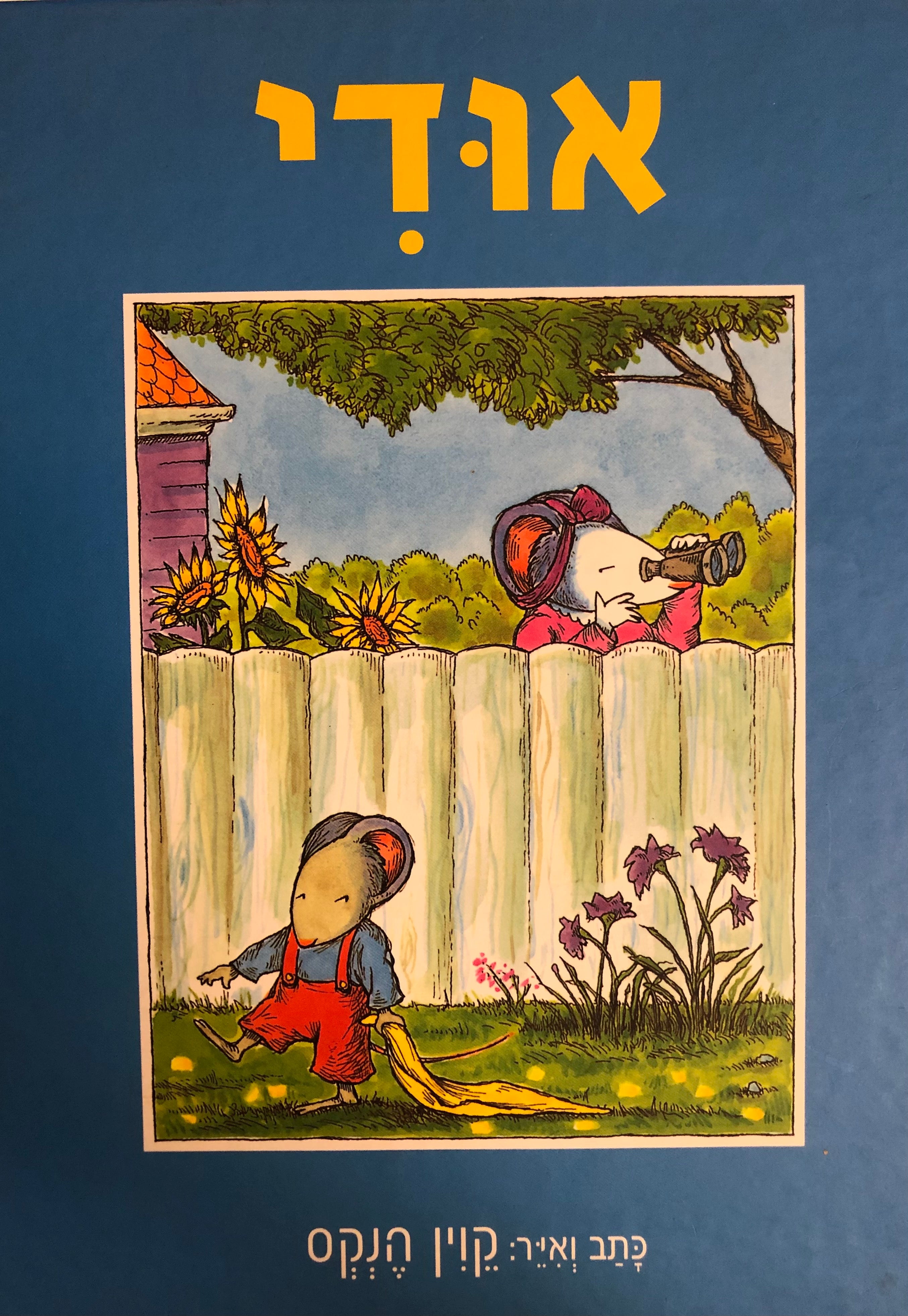 אודי