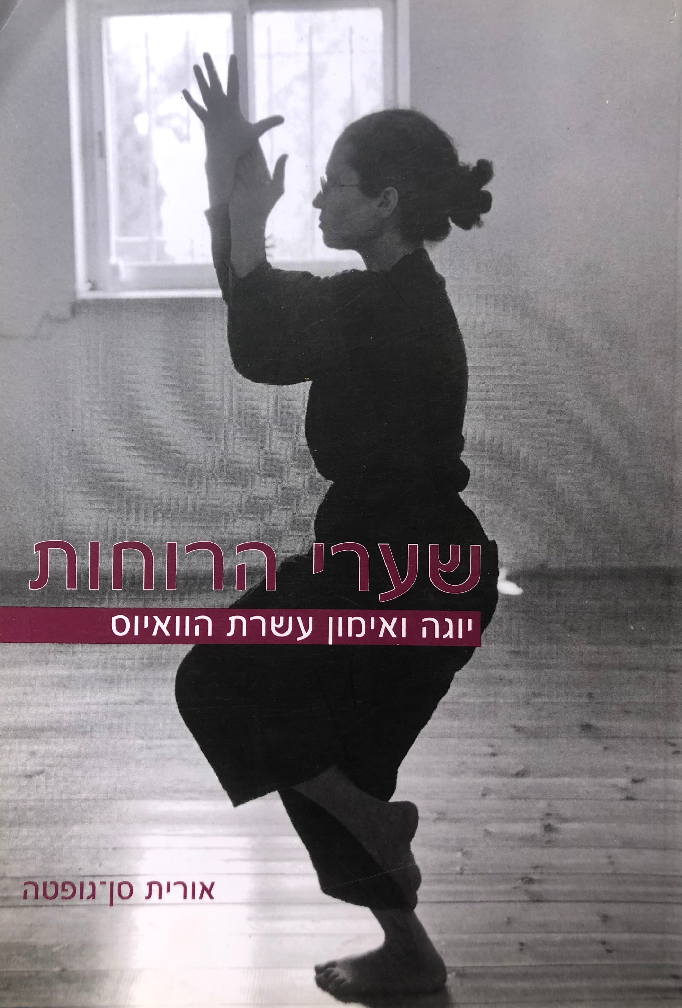 שערי הרוחות: יוגה ואימון עשרת הוואיוס / תרגום כרמית גיא