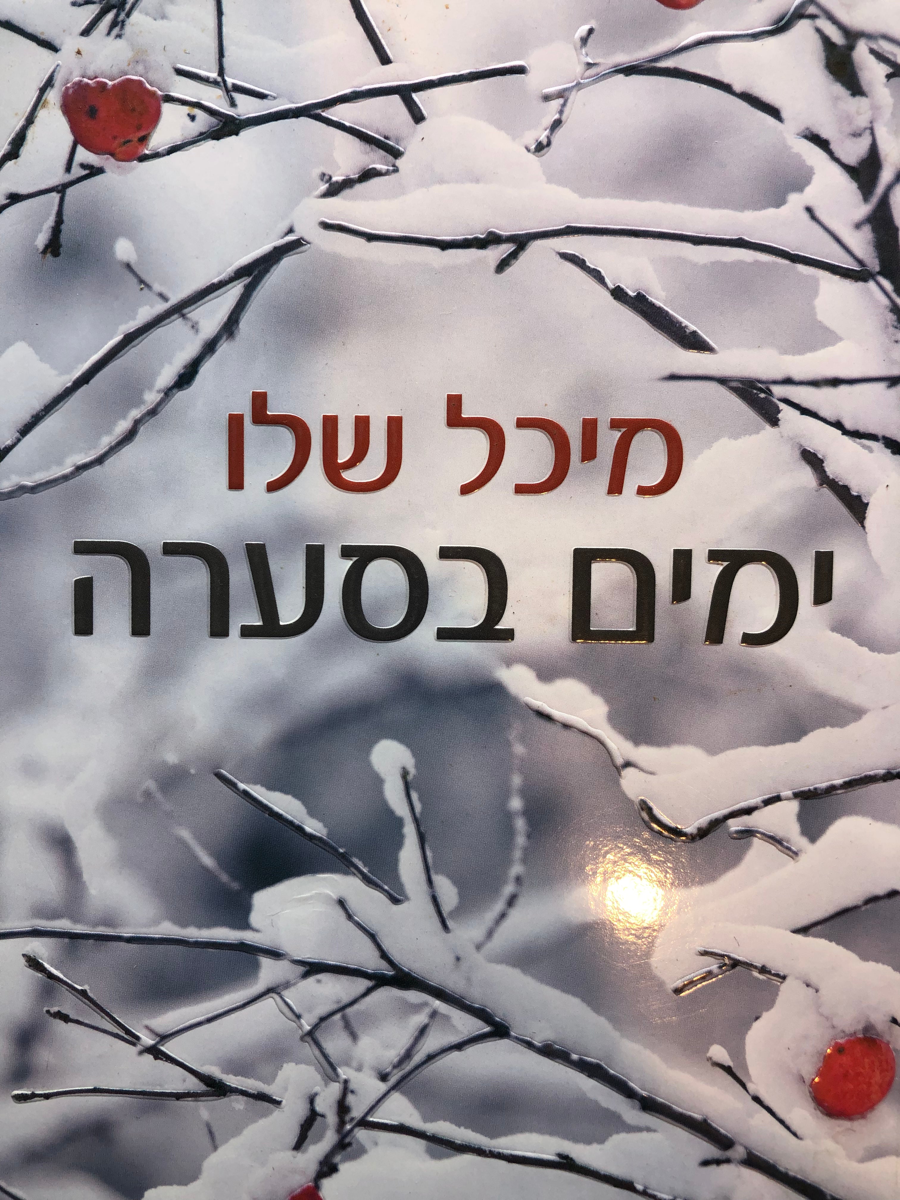 ימים בסערה