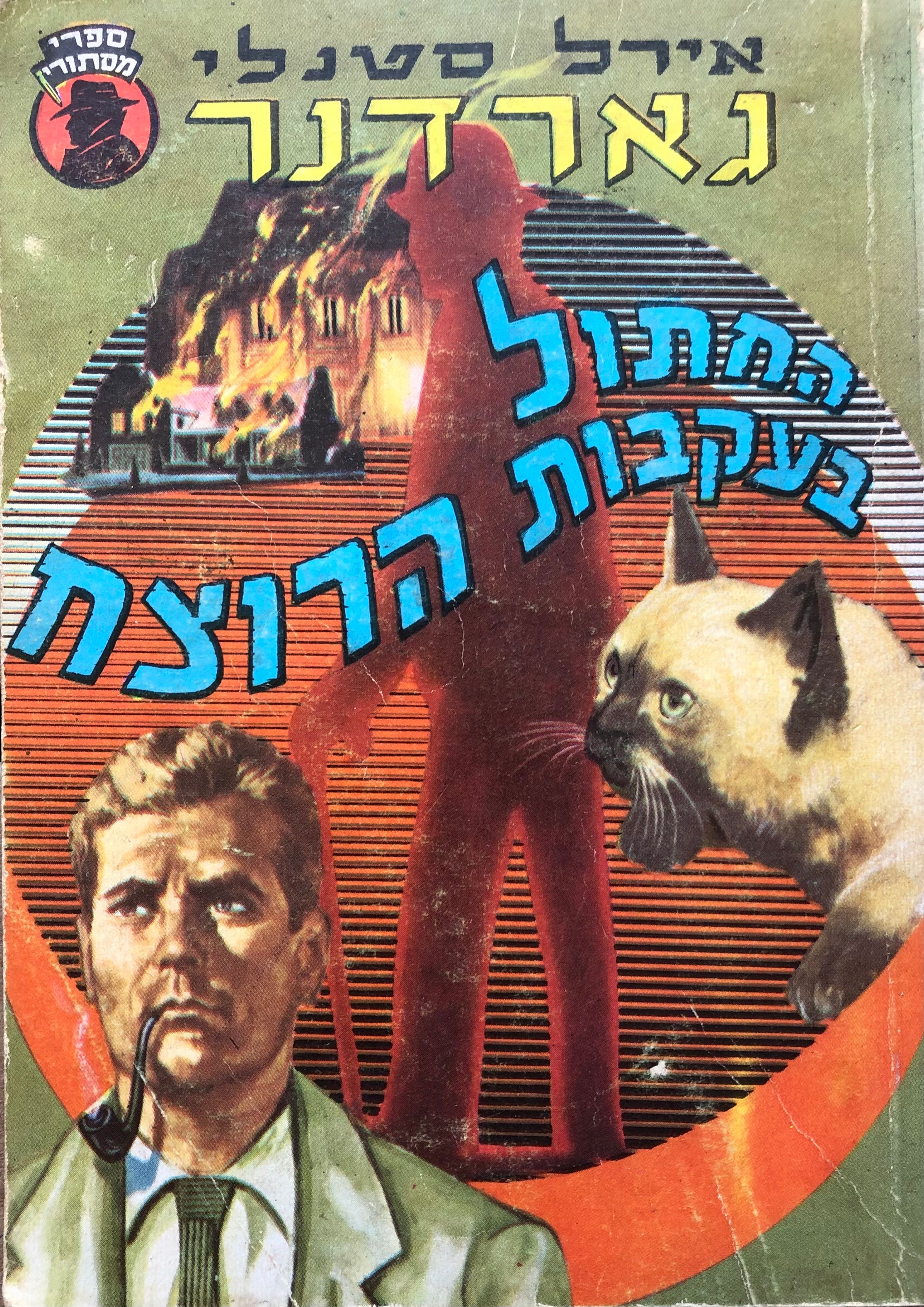 החתול בעקבות הרוצח