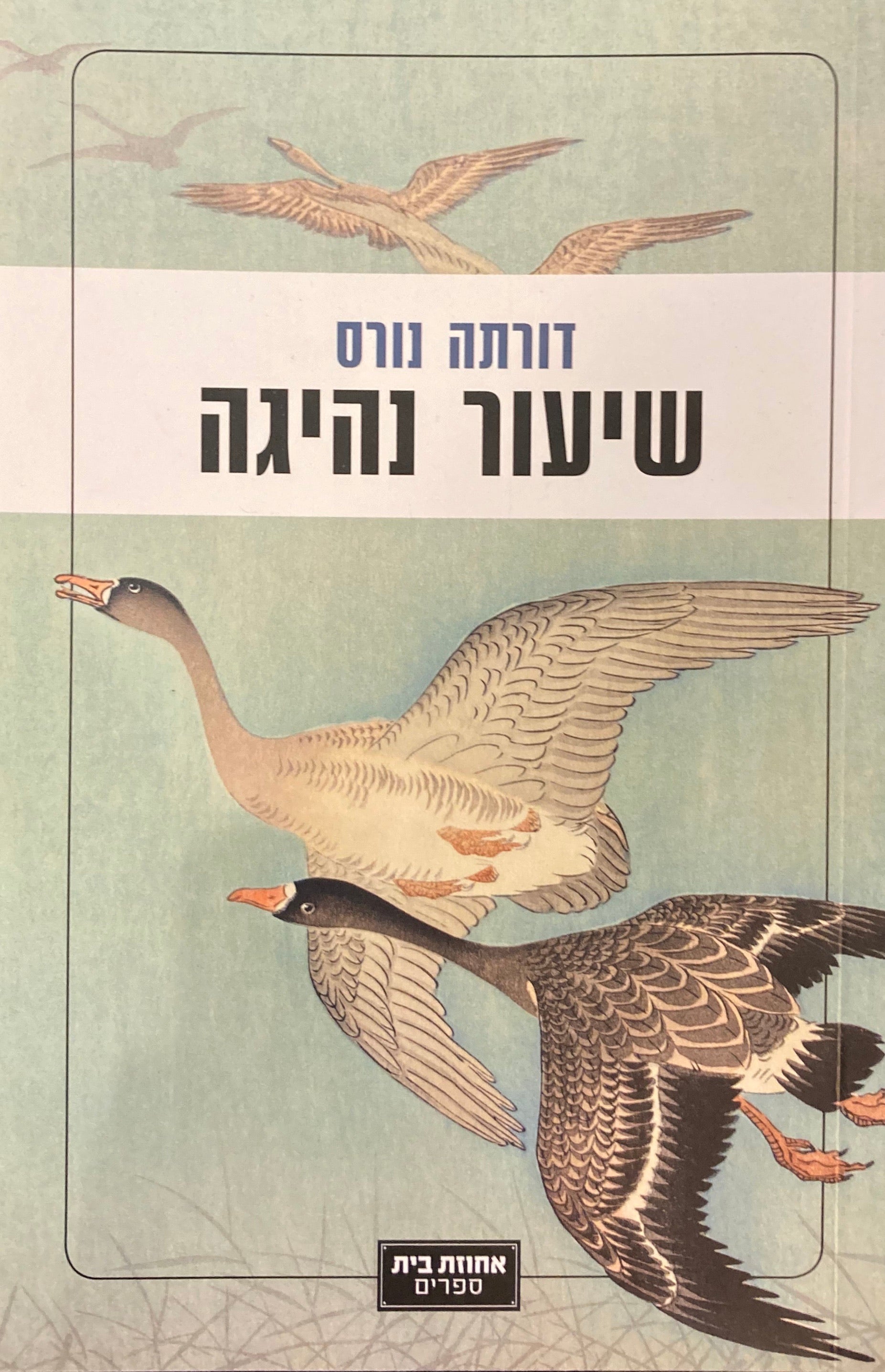 שיעור נהיגה