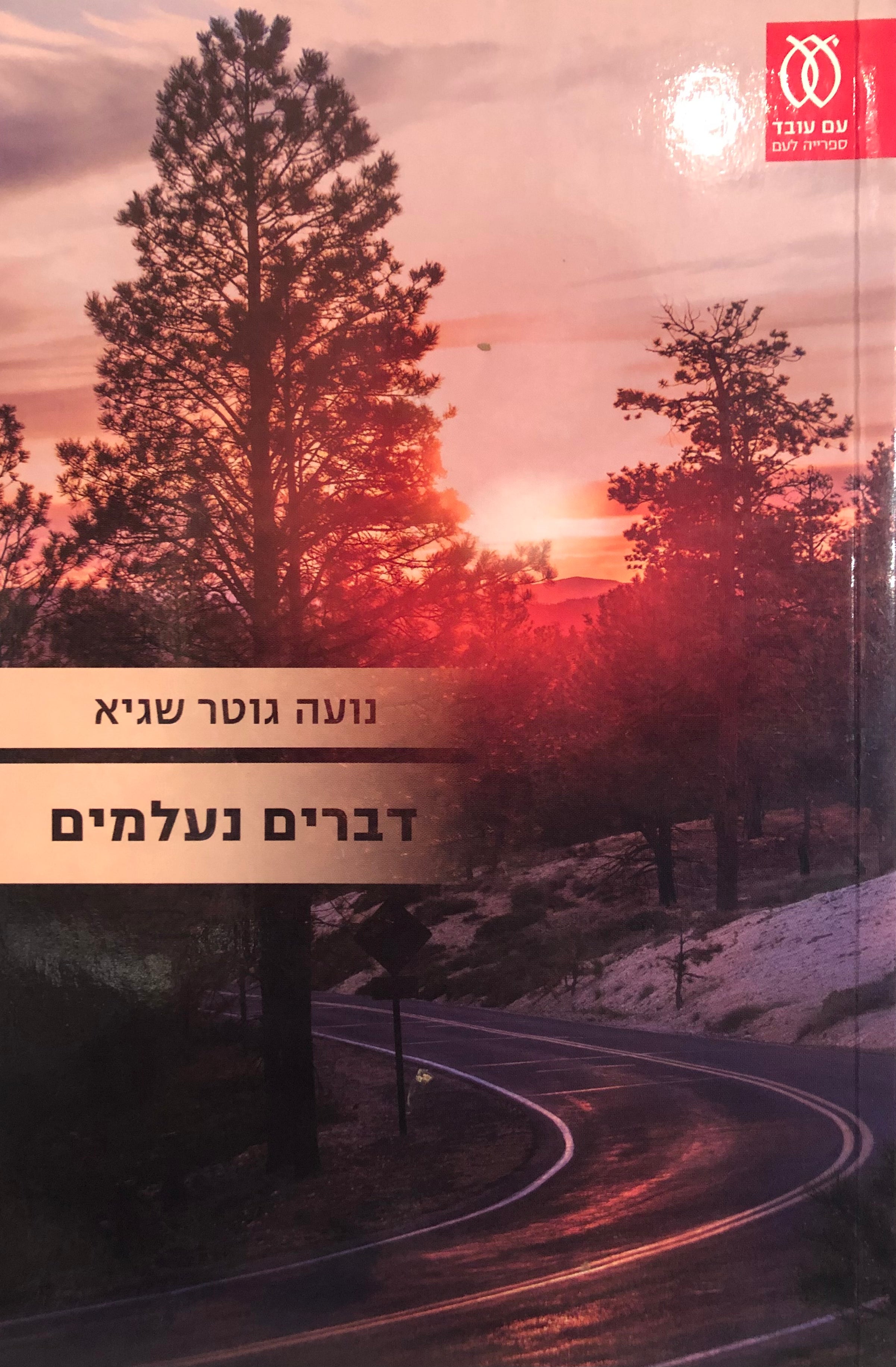 דברים נעלמים