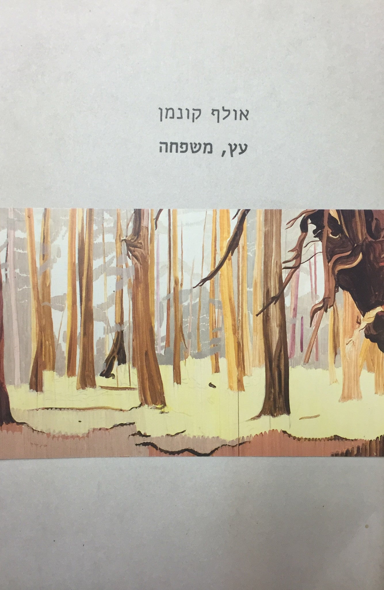 עץ, משפחה