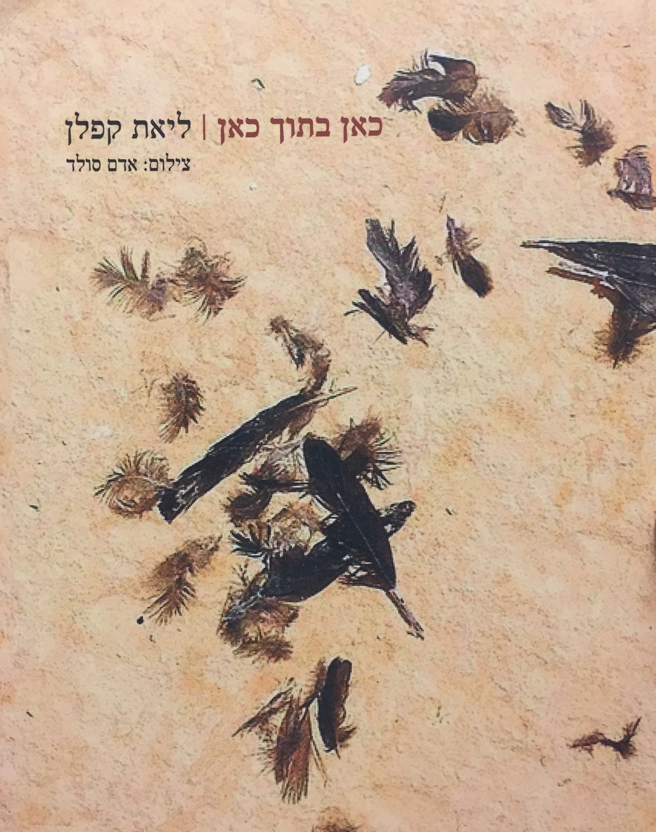 כאן בתוך כאן
