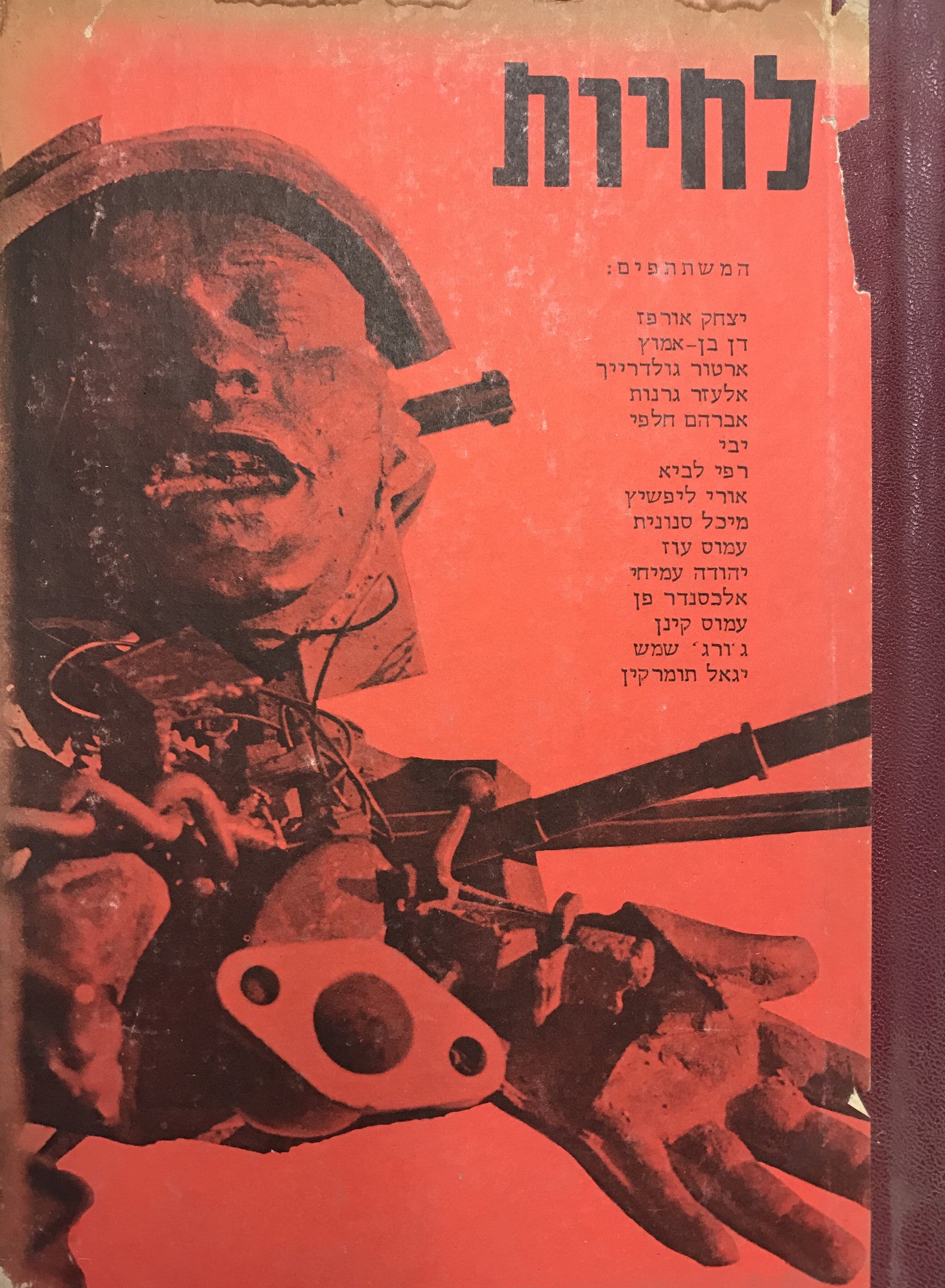 לחיות