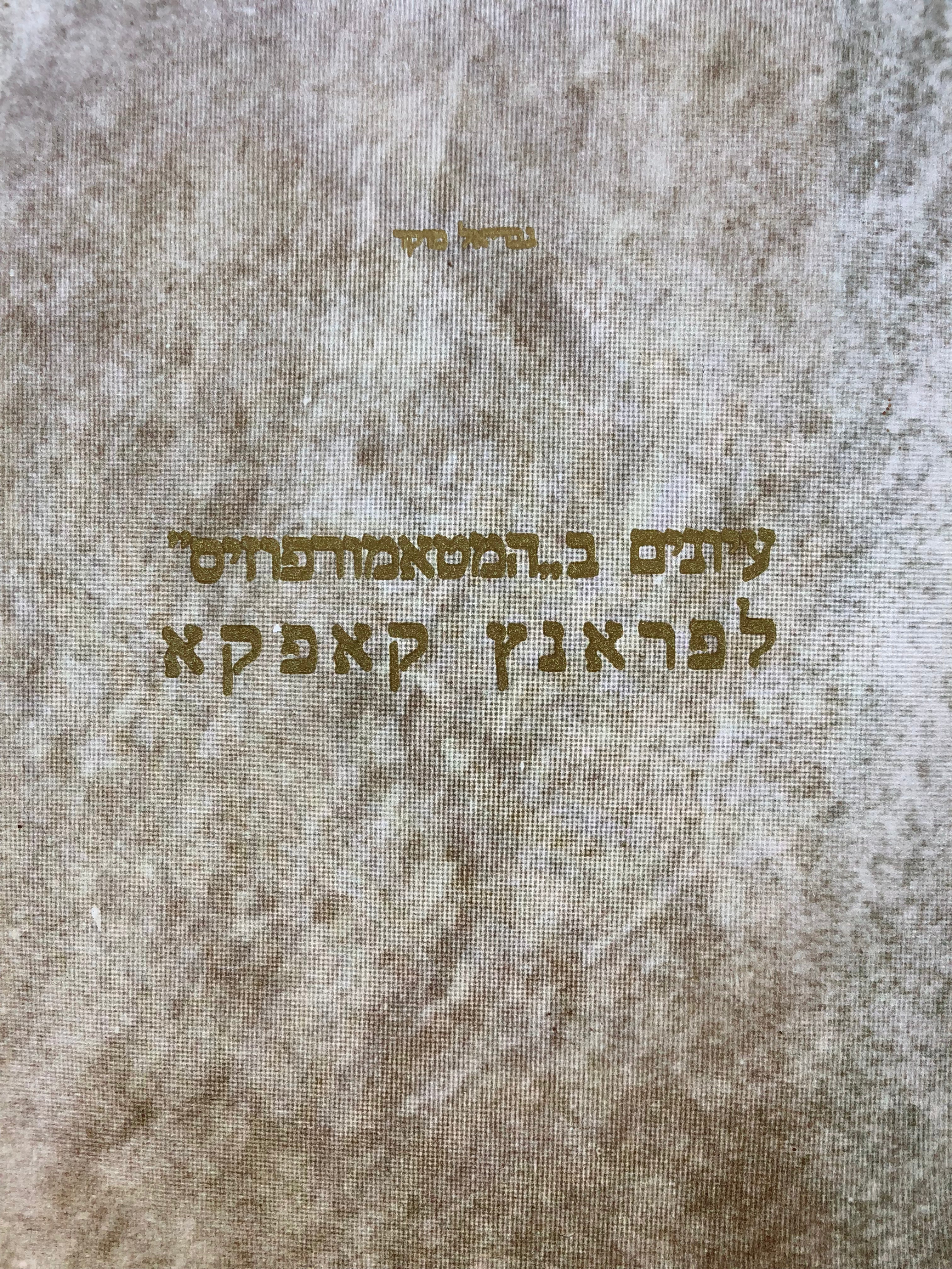 עיונים בהמטמורפוזיס לפראנץ קאפקא/ מהדורה מחודשת