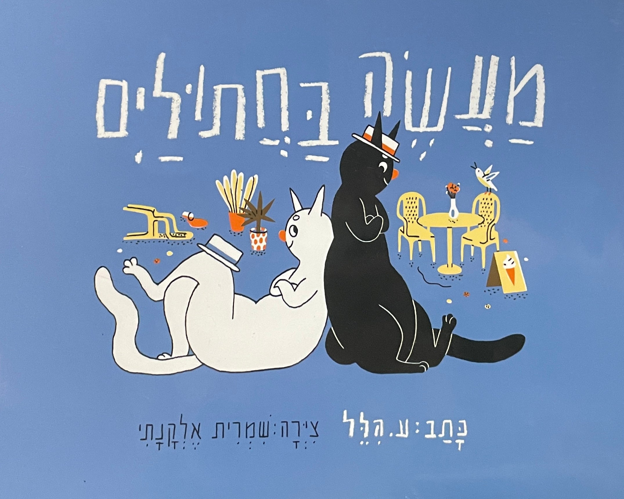 מעשה בחתולים