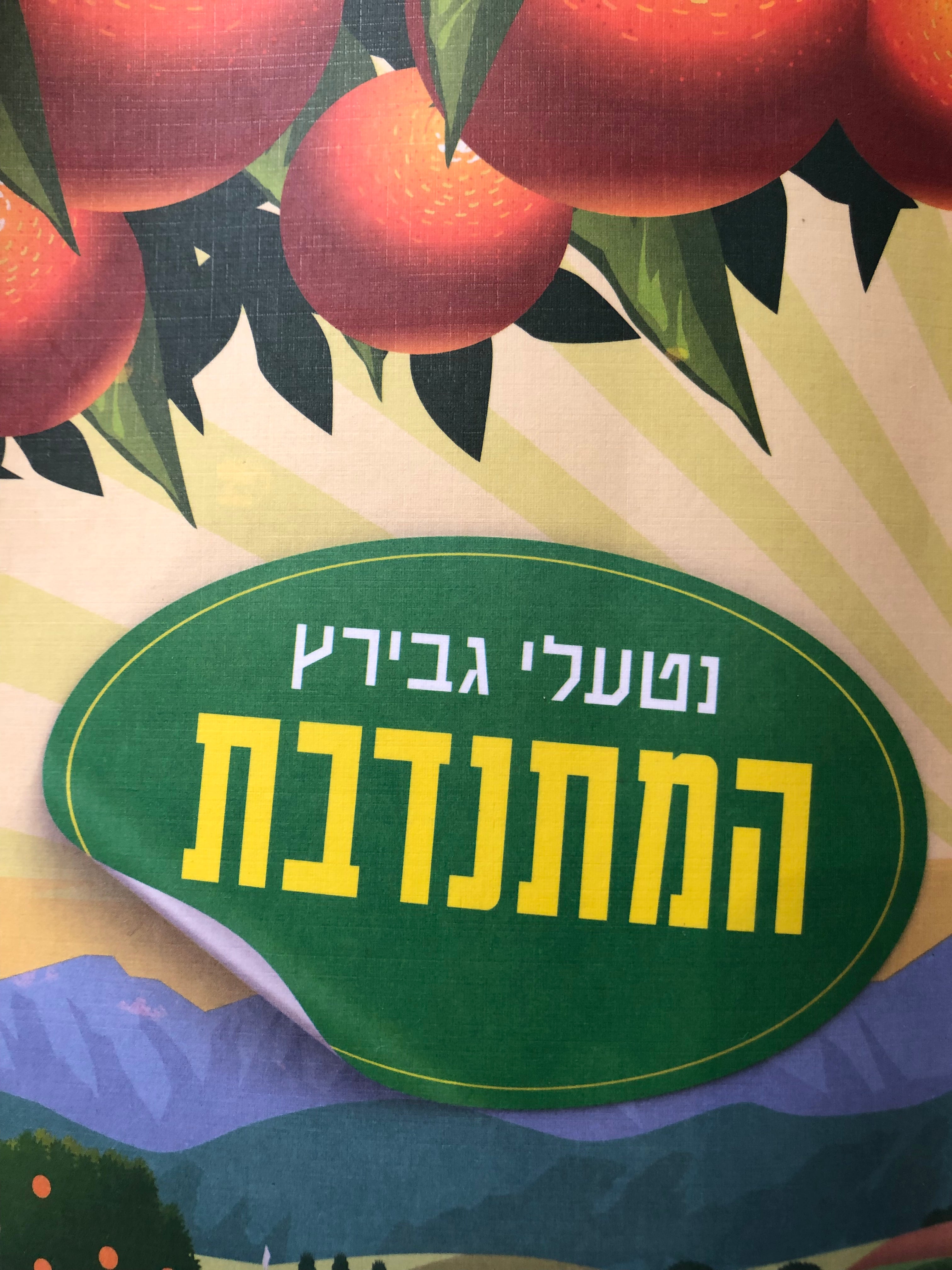 המתנדבת