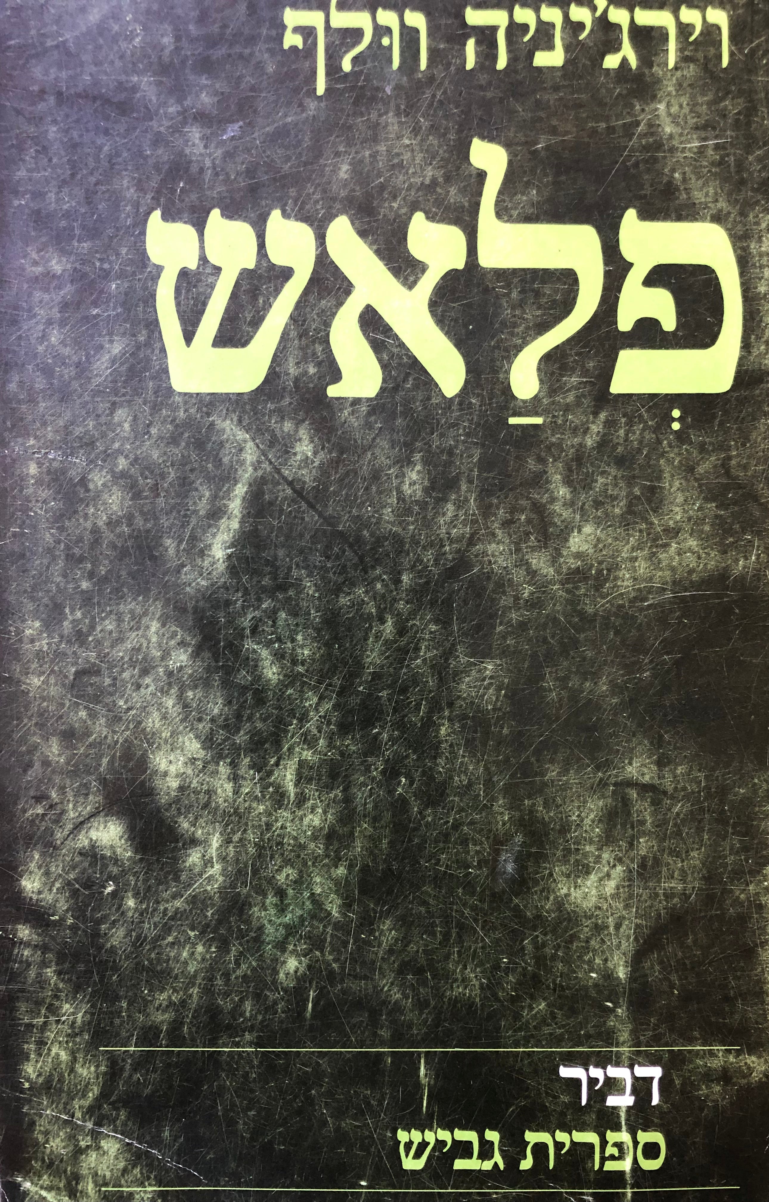 פלאש