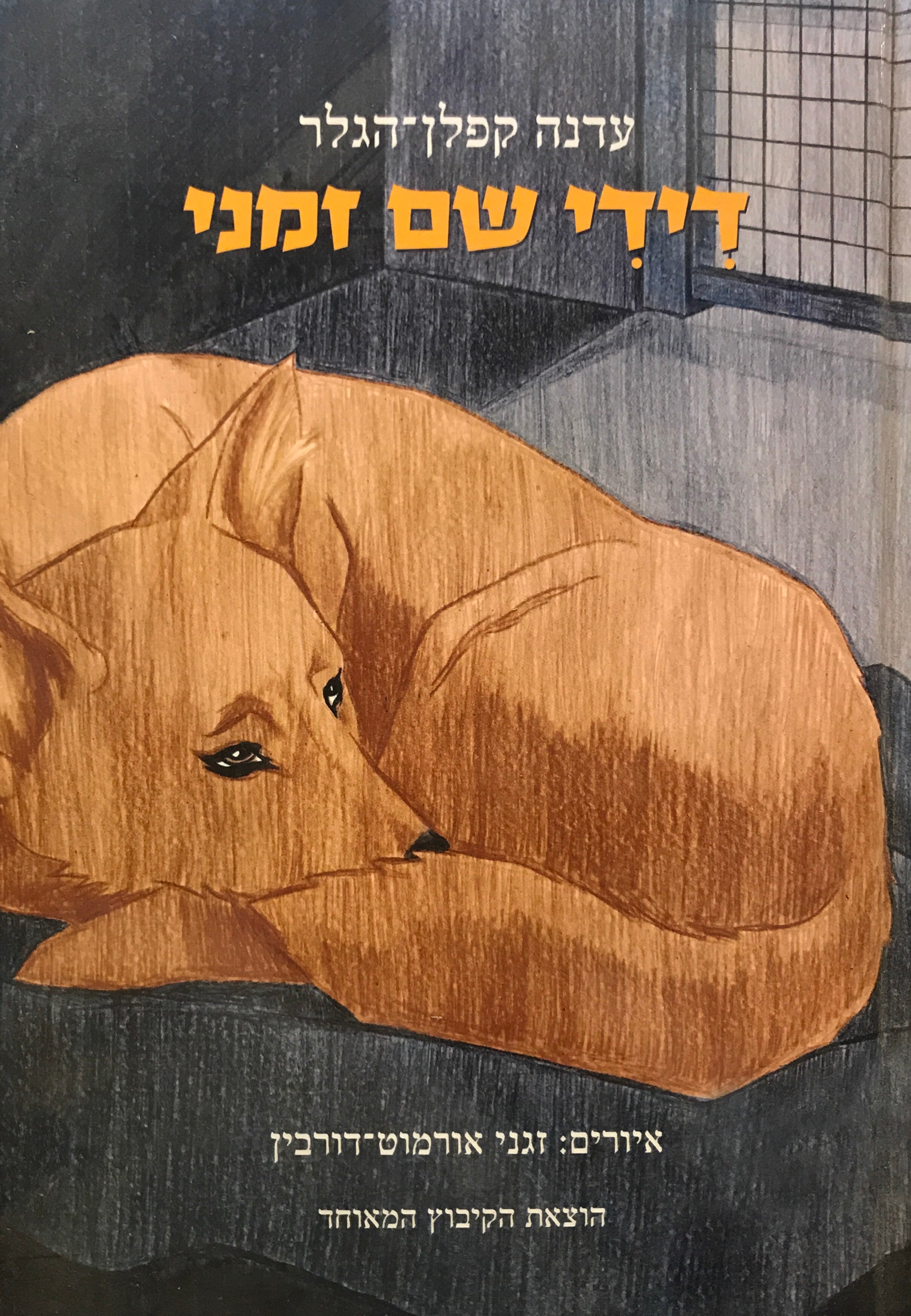 דידי שם זמני