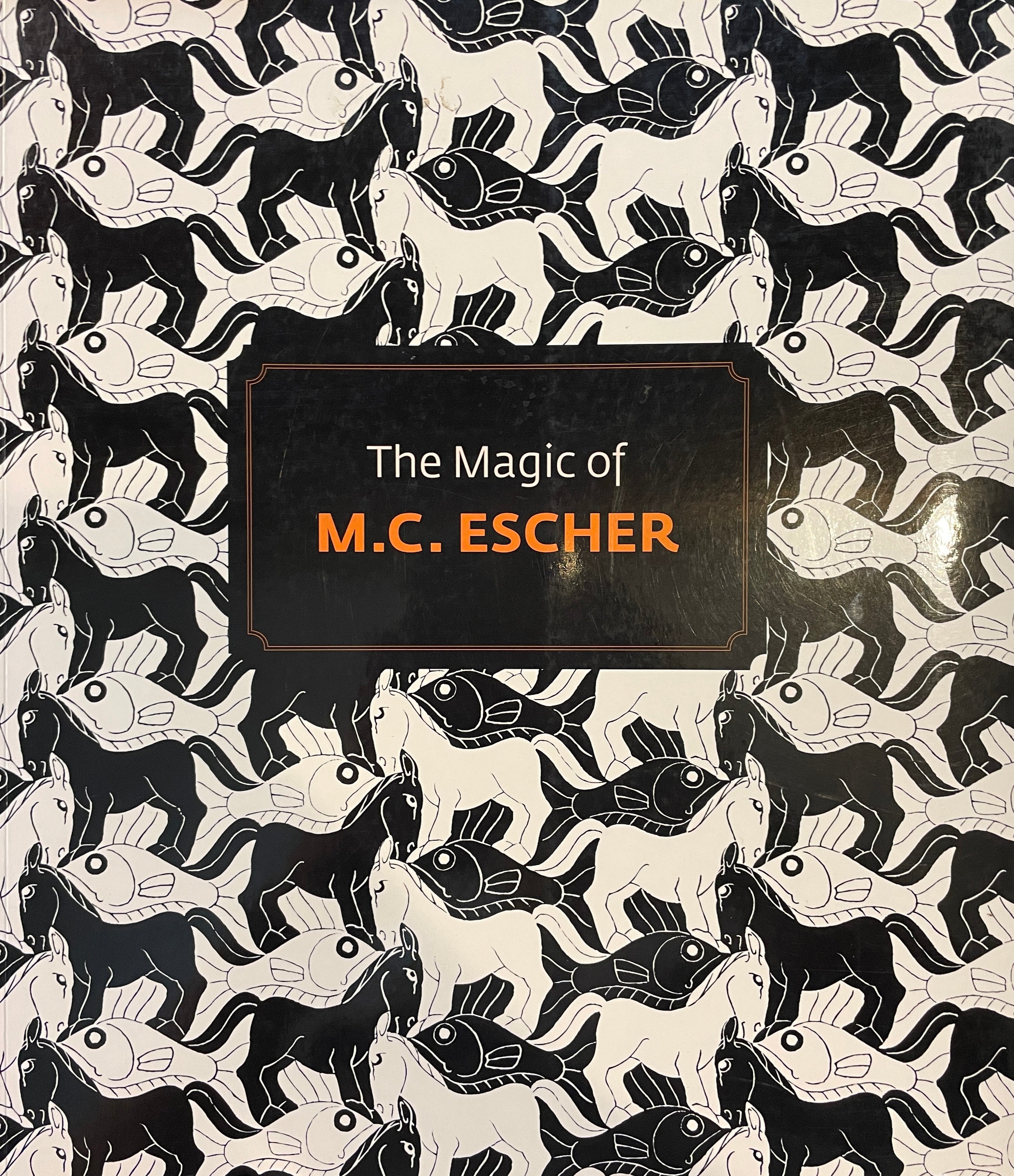 The magic of M.C Escher