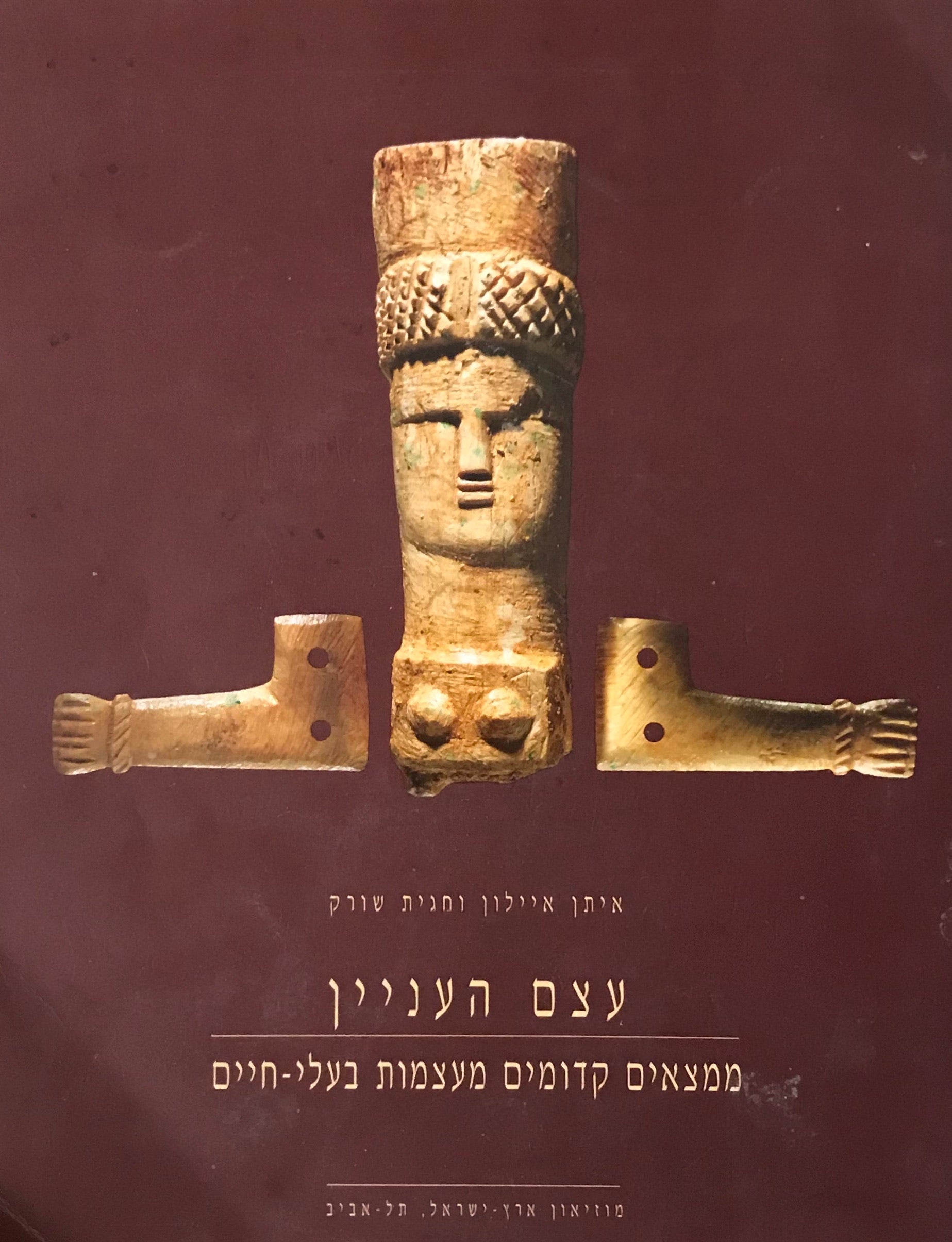עצם העניין / ממצאים קדומים מעצמות בעלי חיים