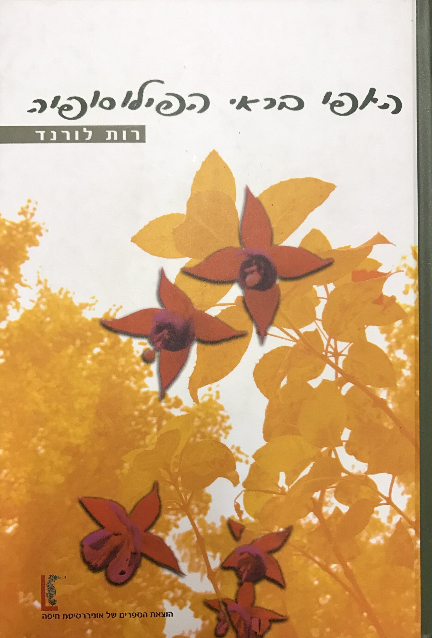 היופי בראי הפילוסופיה