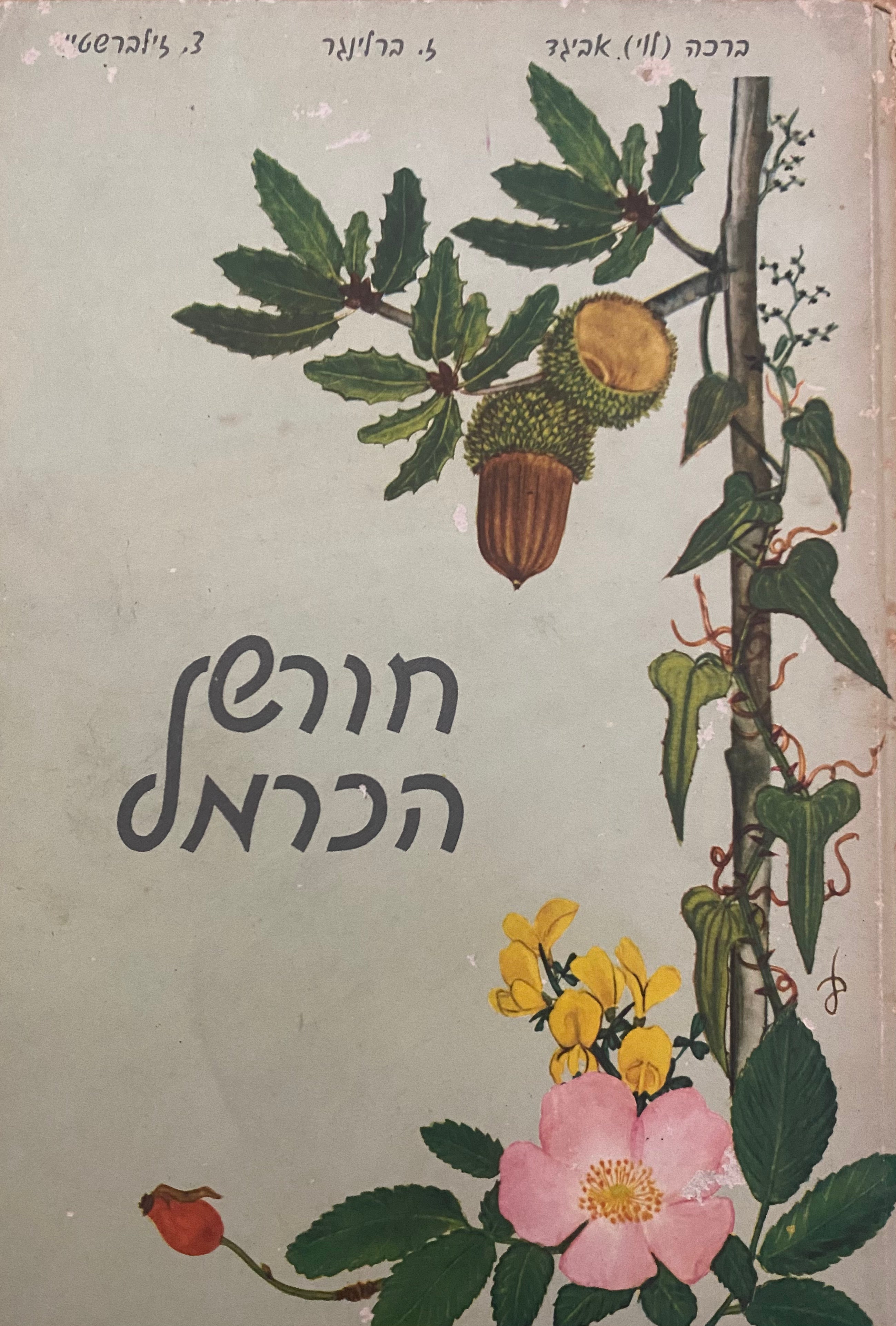 חורש הכרמל/ שלושים ואחד עצים ושיחים