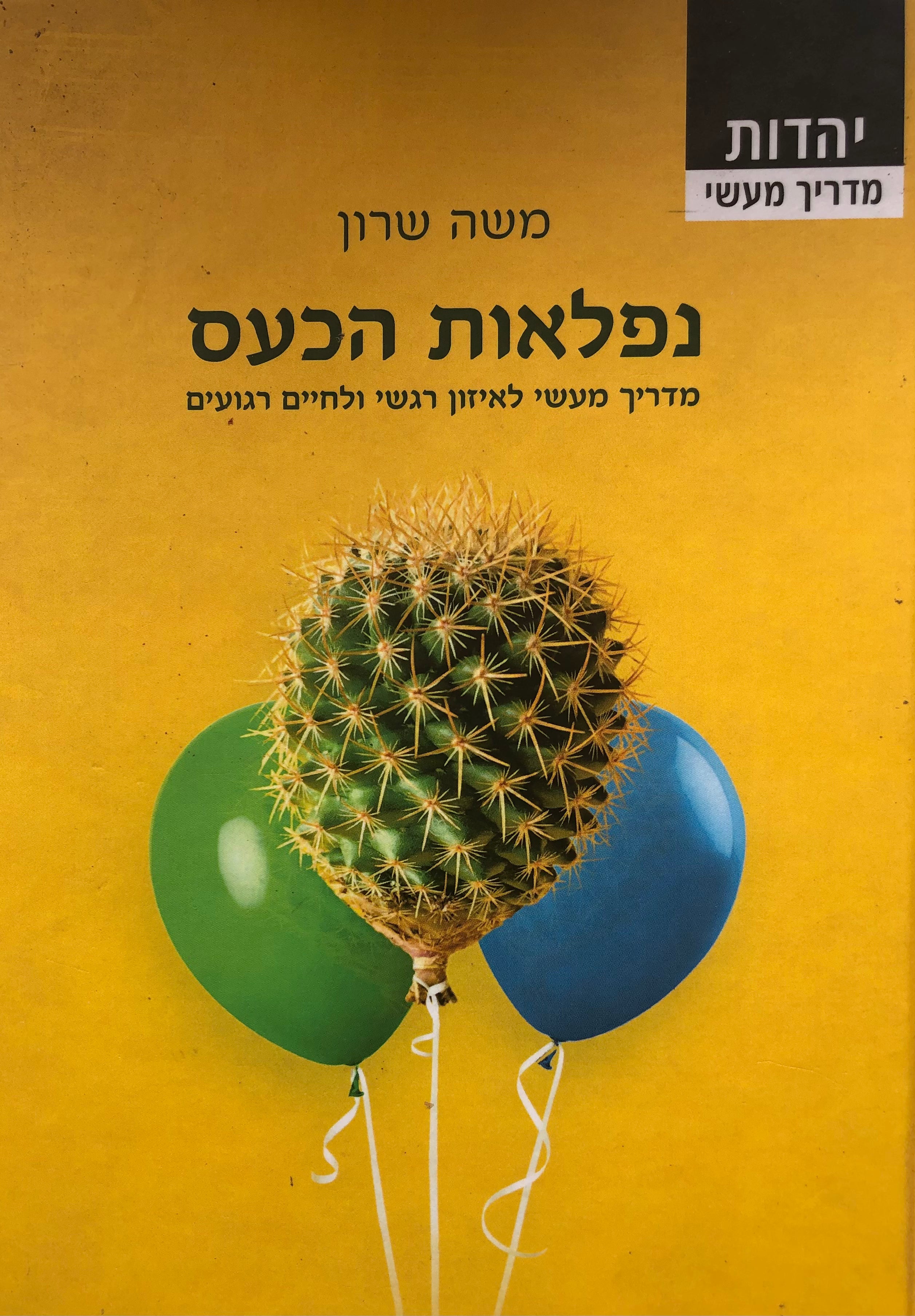 נפלאות הכעס/ מדריך מעשי לאיזון רגשי ולחיים רגועים