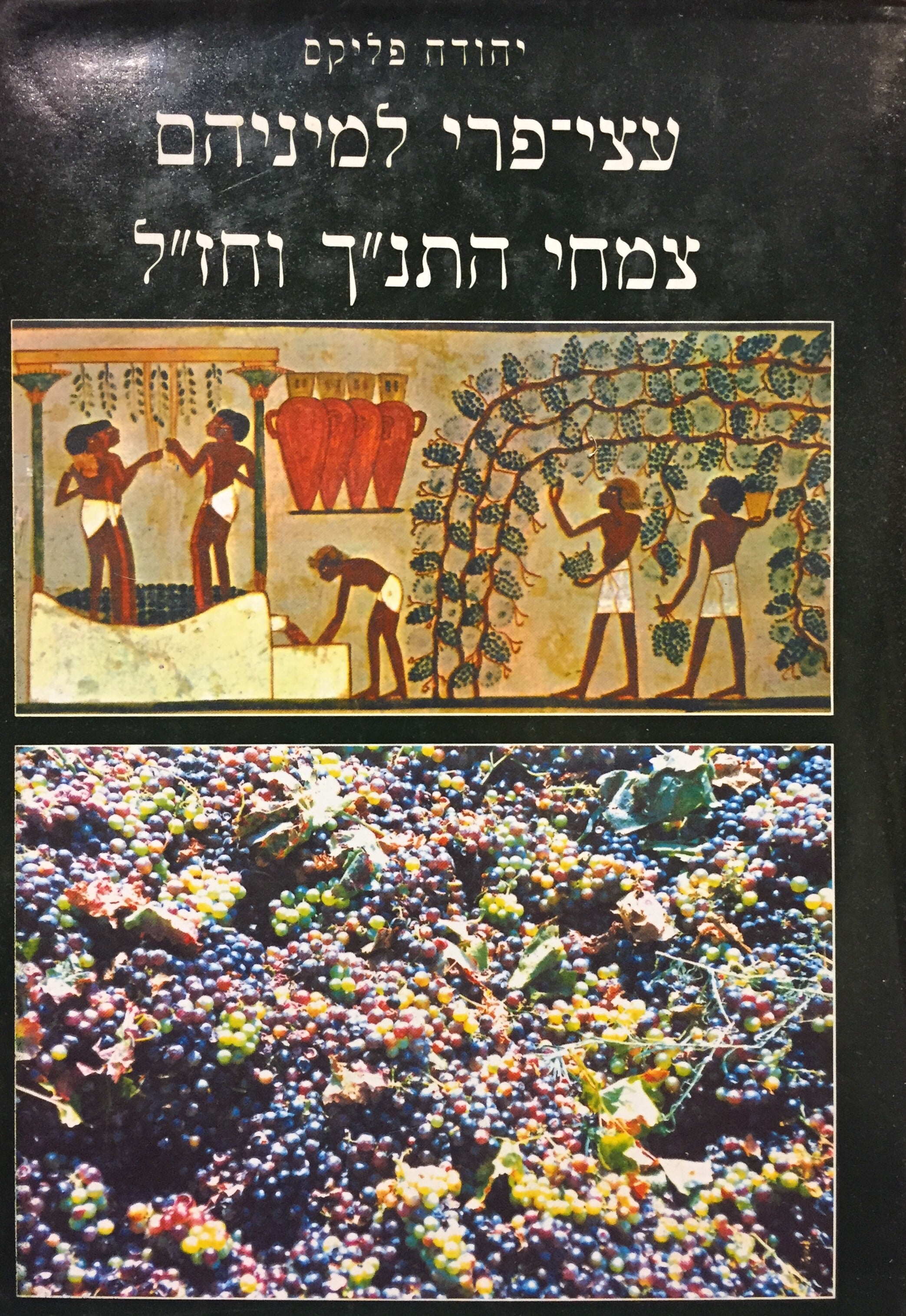 עצי פרי למיניהם - צמחי התנ"ך וחז"ל