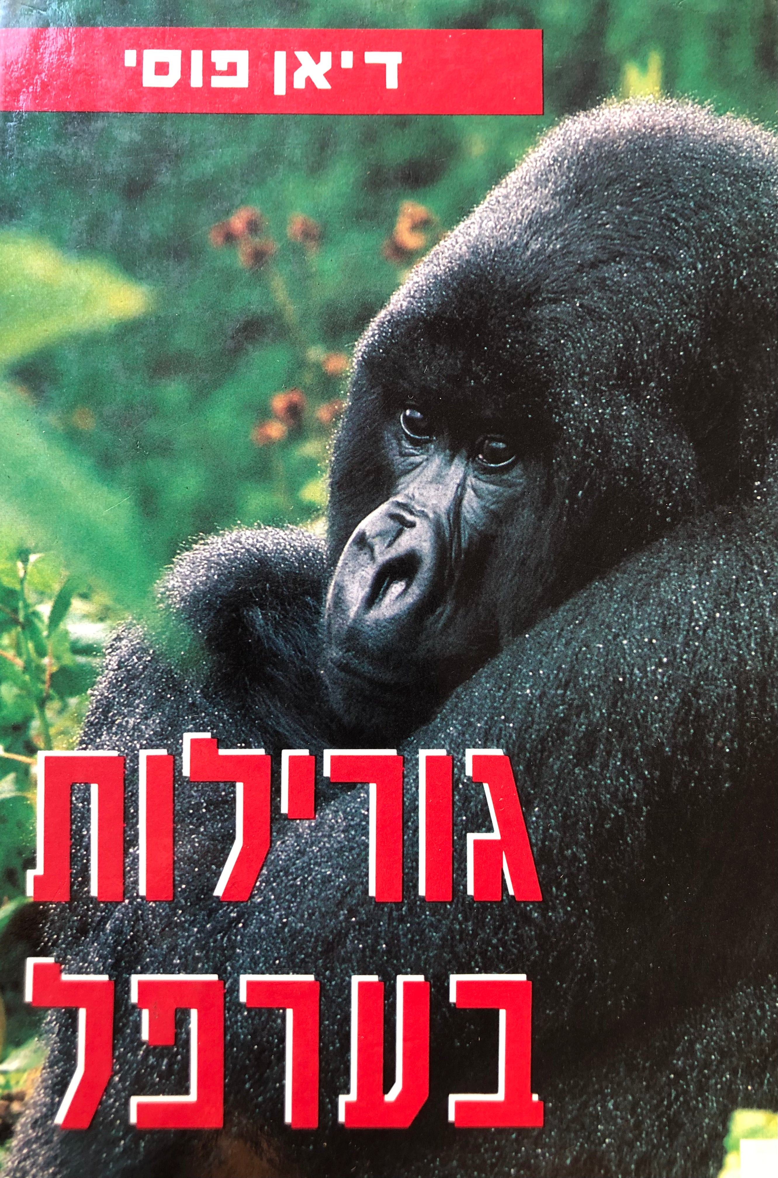 גורילות בערפל/ הרפתקה מופלאה של אשה לבנה שבילתה שלוש עשרה שנים מחייה עם הגדולים שבין קופי האדם ביערות העד הרחוקים של אפריקה