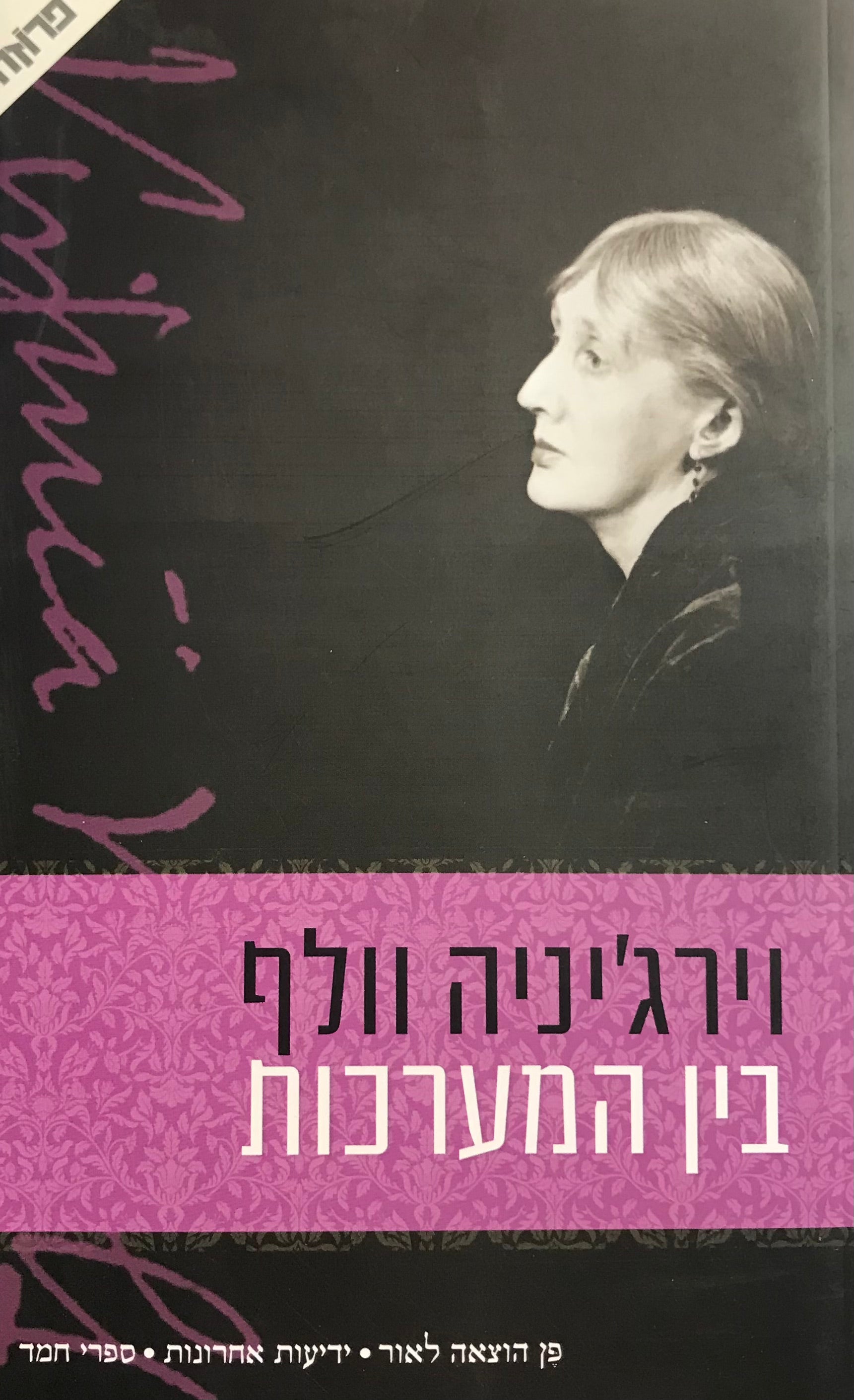 בין המערכות