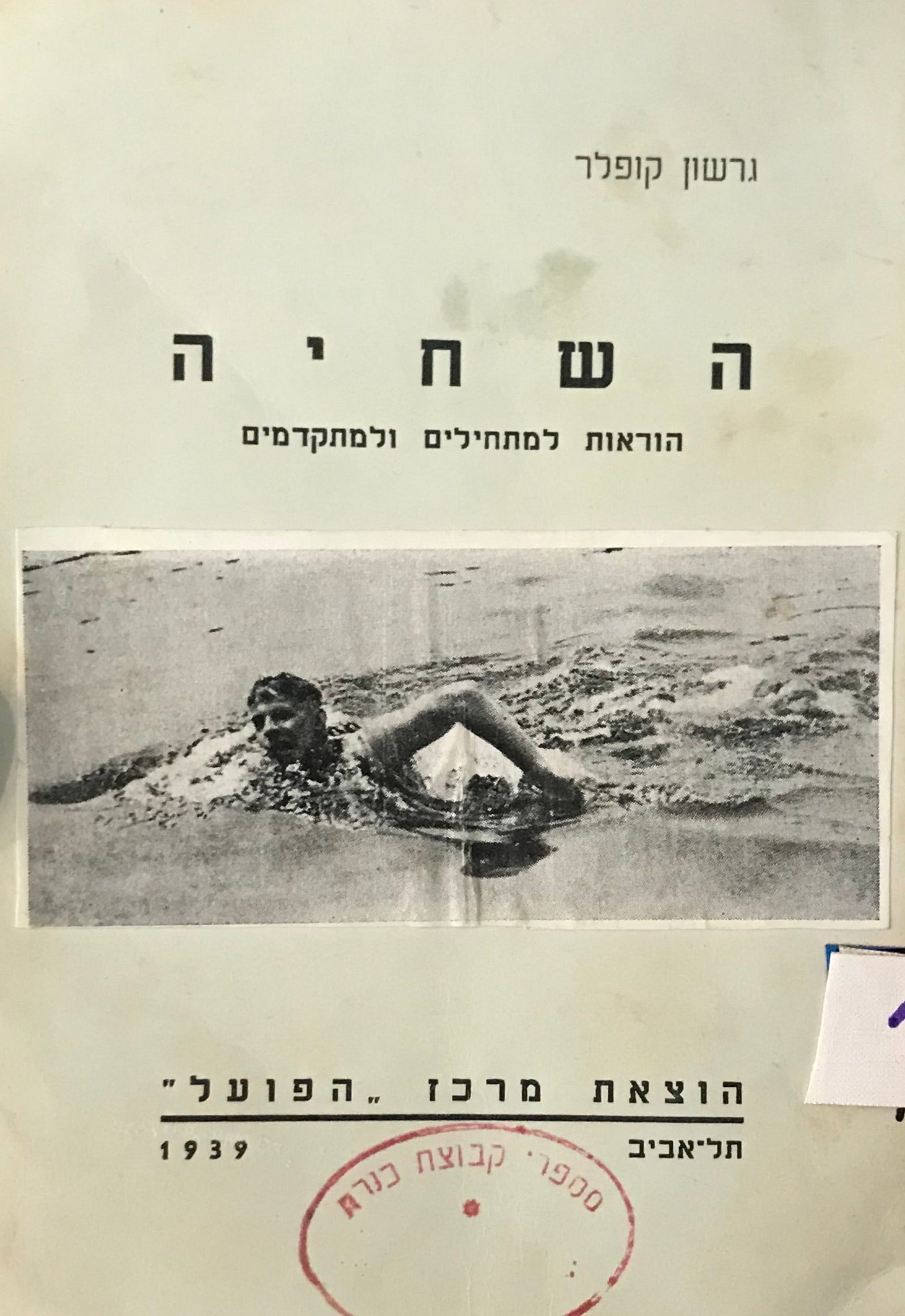 השחיה / הוראות למתחילים ולמתקדמים
