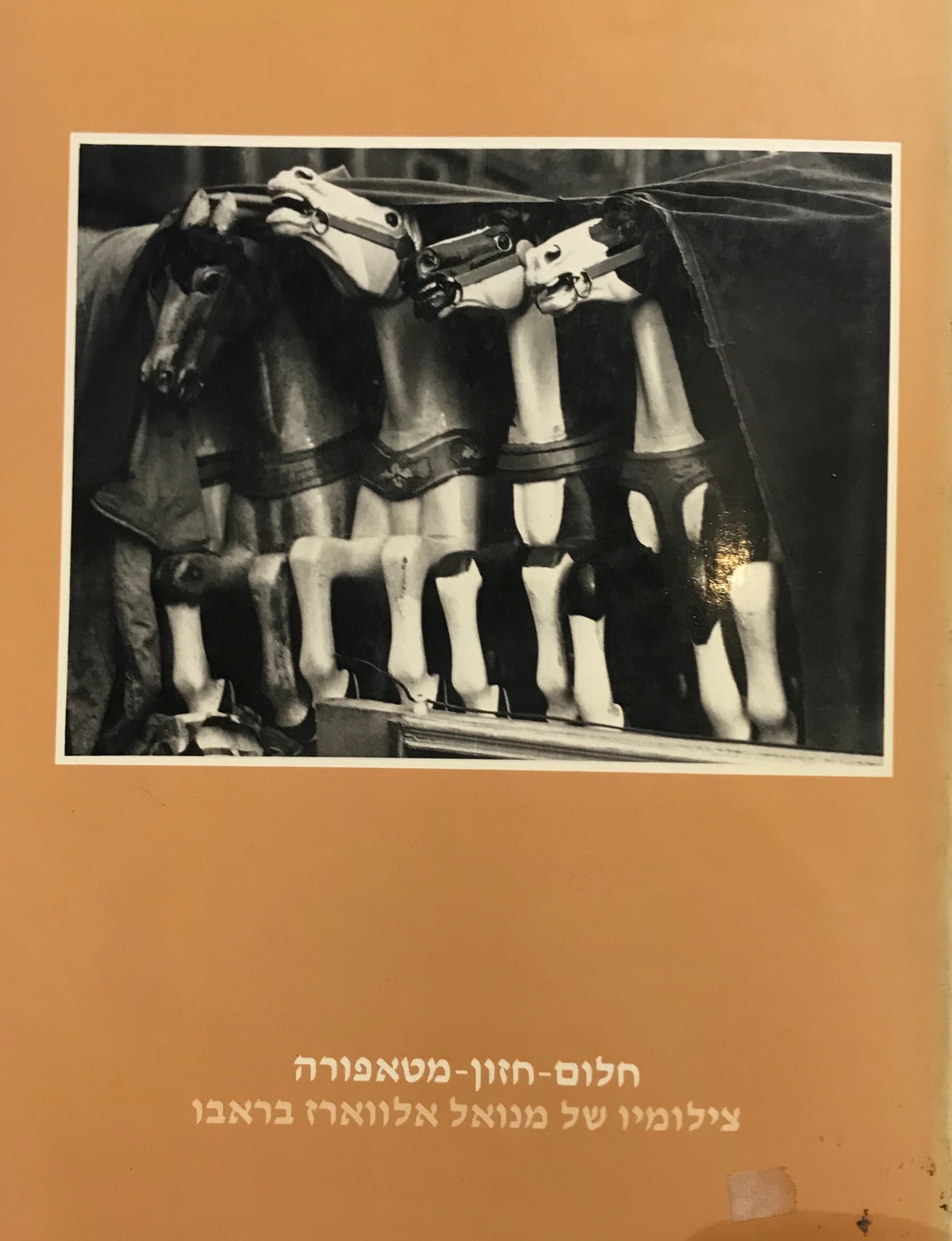 חלום - חזון - מטאפורה / צילומיו של מנואל אלווארז בראבו
