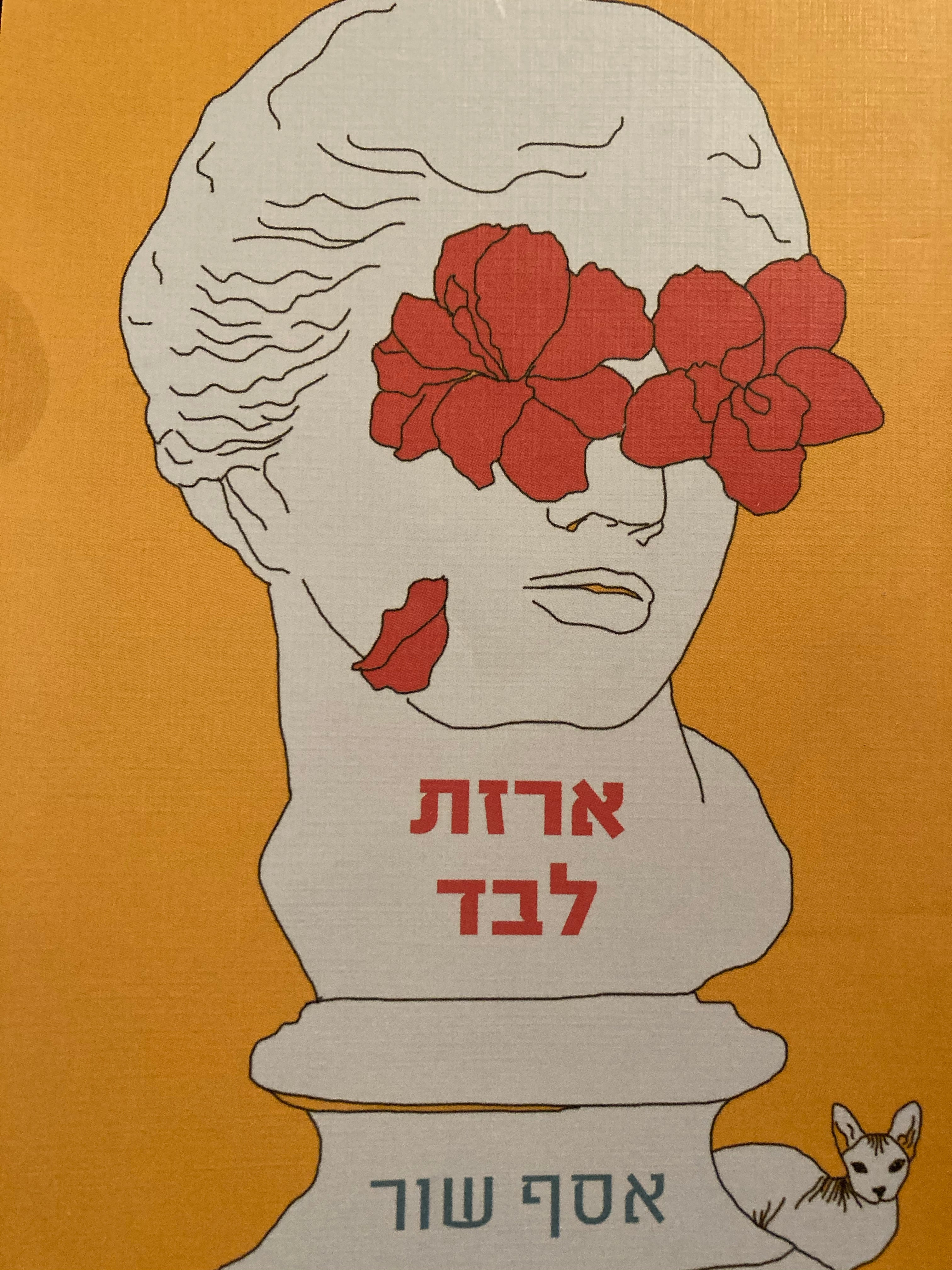 ארזת לבד