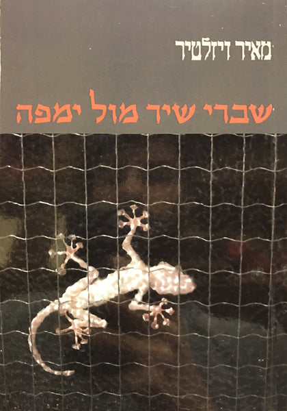 שברי שיר מול ימפה מאיר ויזלטיר האחים גרין