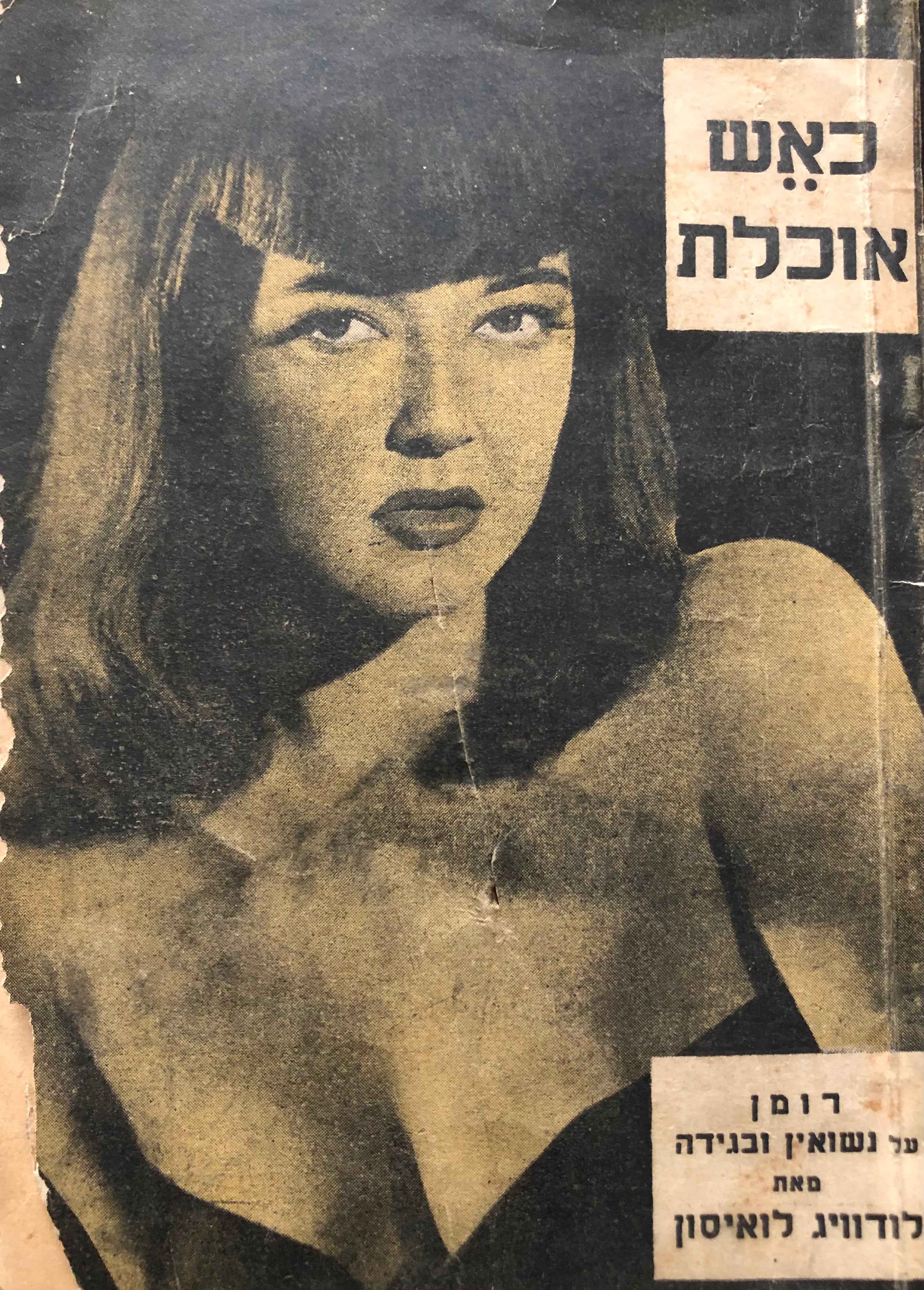 כאש אוכלת: רומן על נישואין ובגידה
